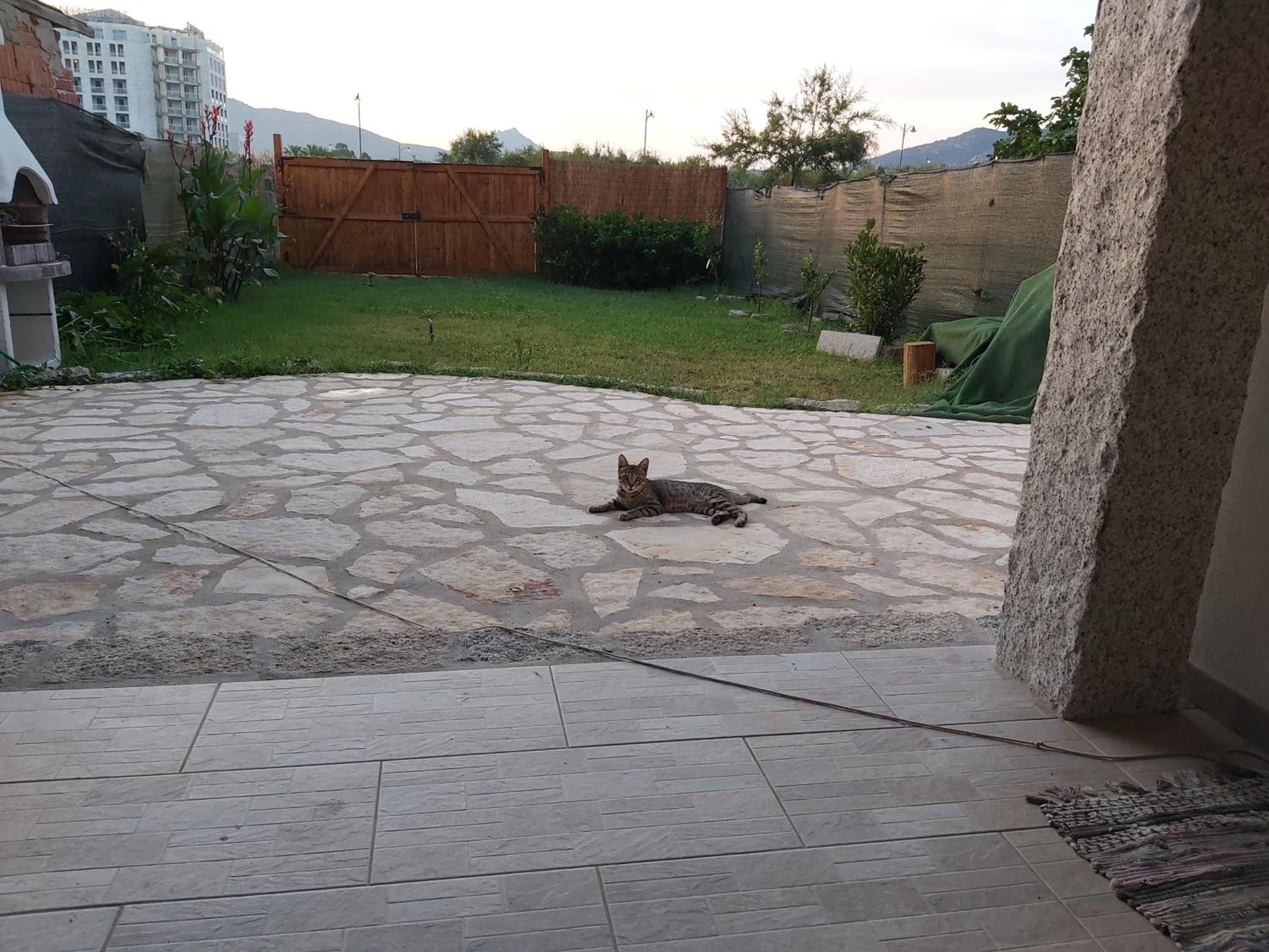 Apartment with Garden View - Photo 5