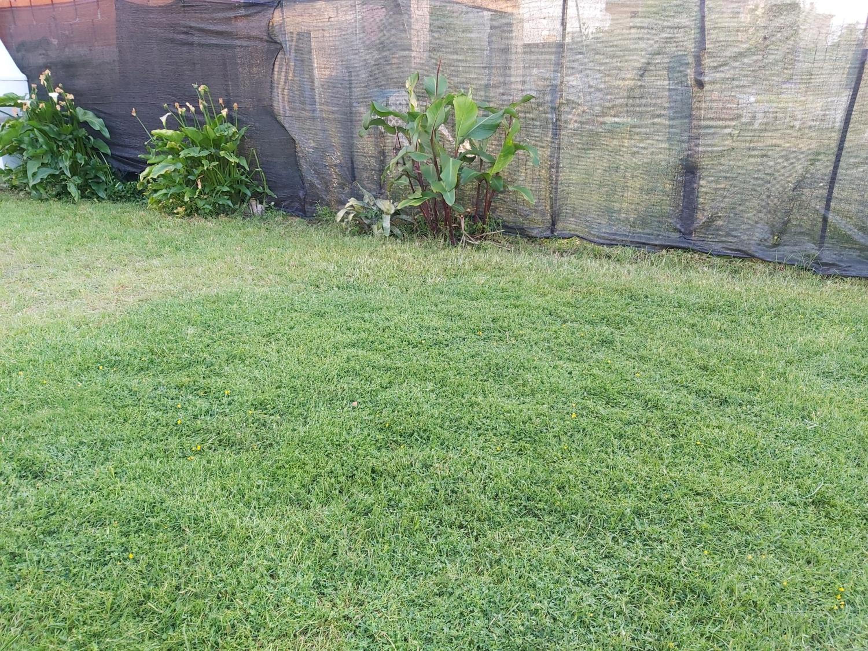 Apartment with Garden View - Photo 6