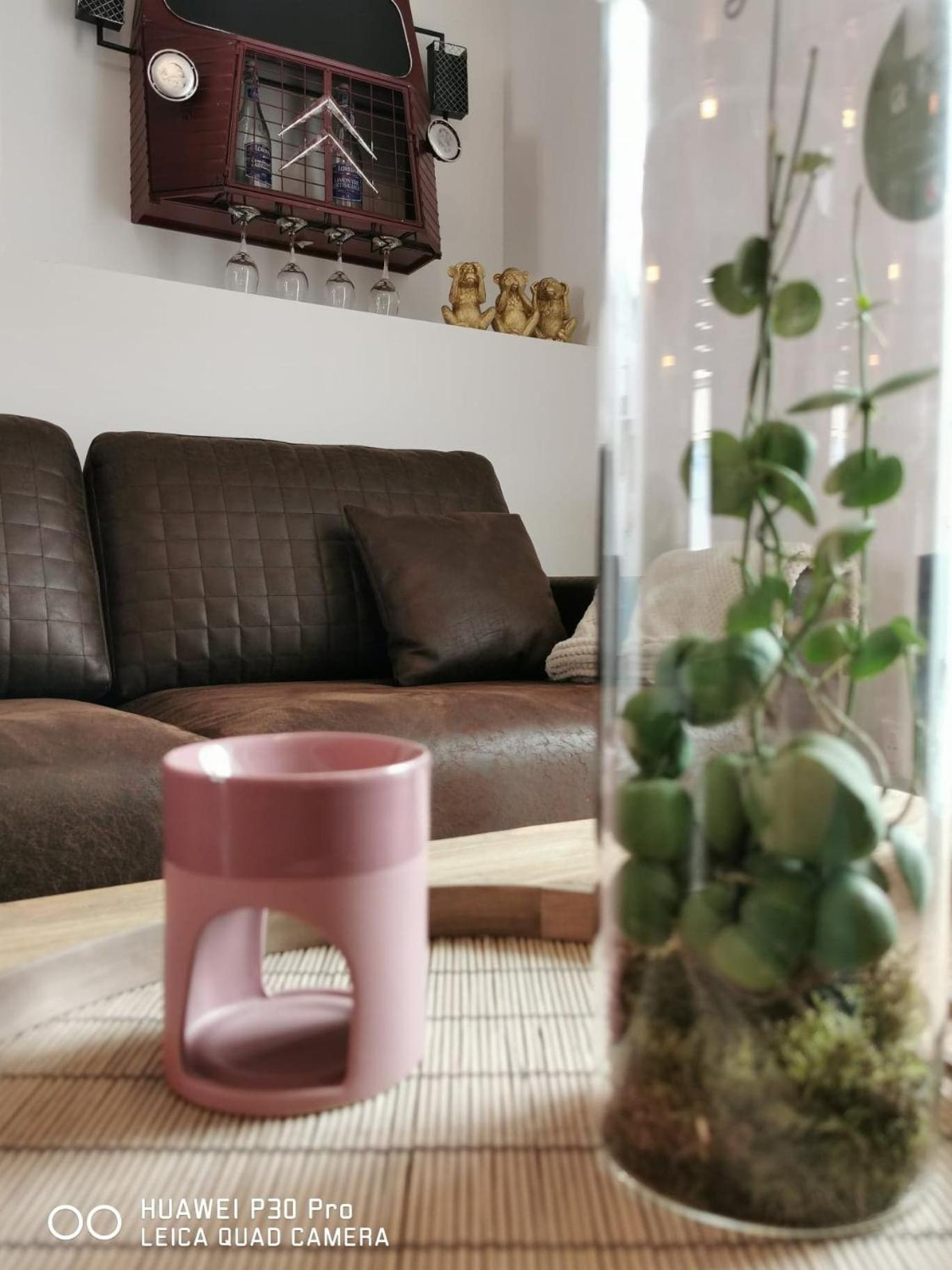 Apartment - Ground Floor - Photo 9