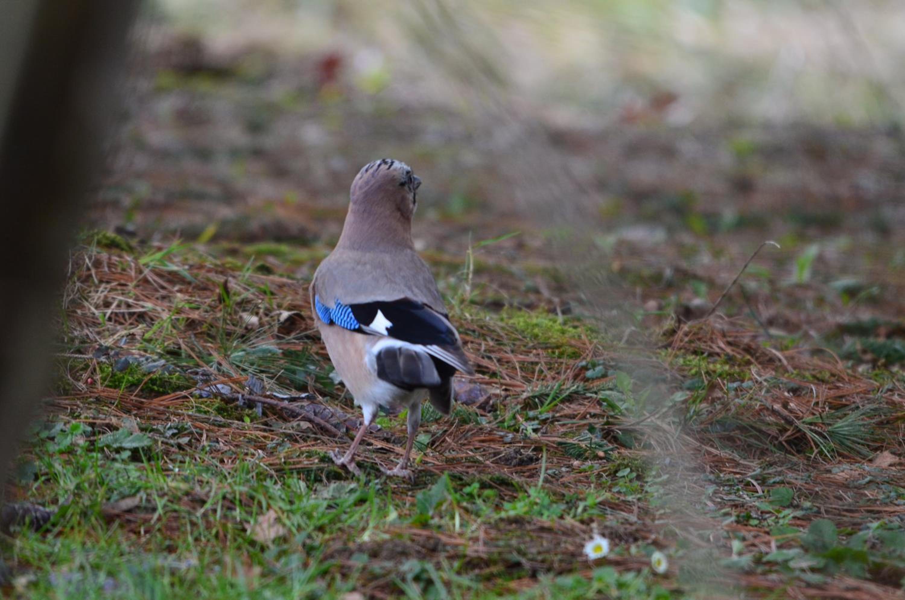 Triple Room - Photo 16
