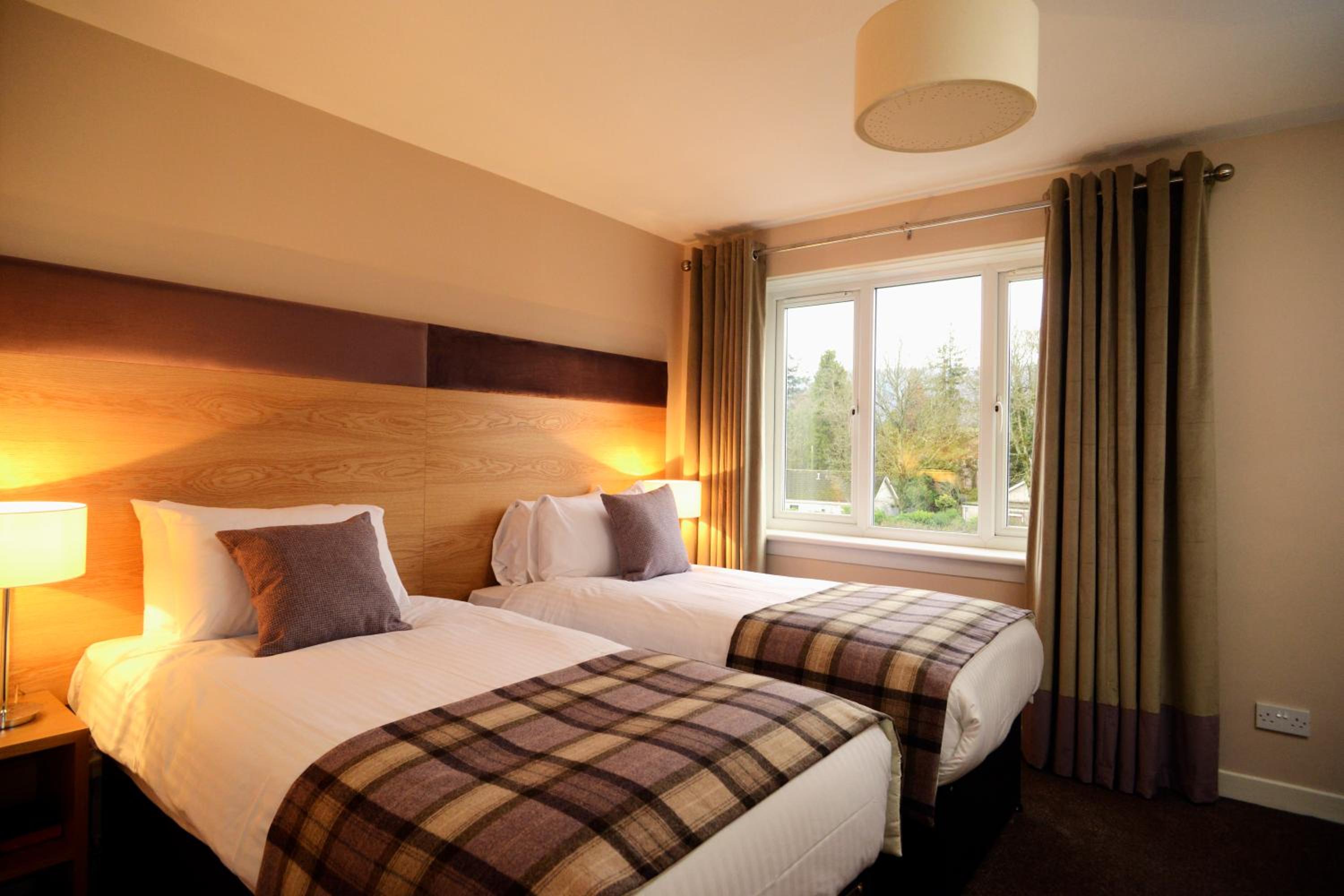 Twin Room photo 2