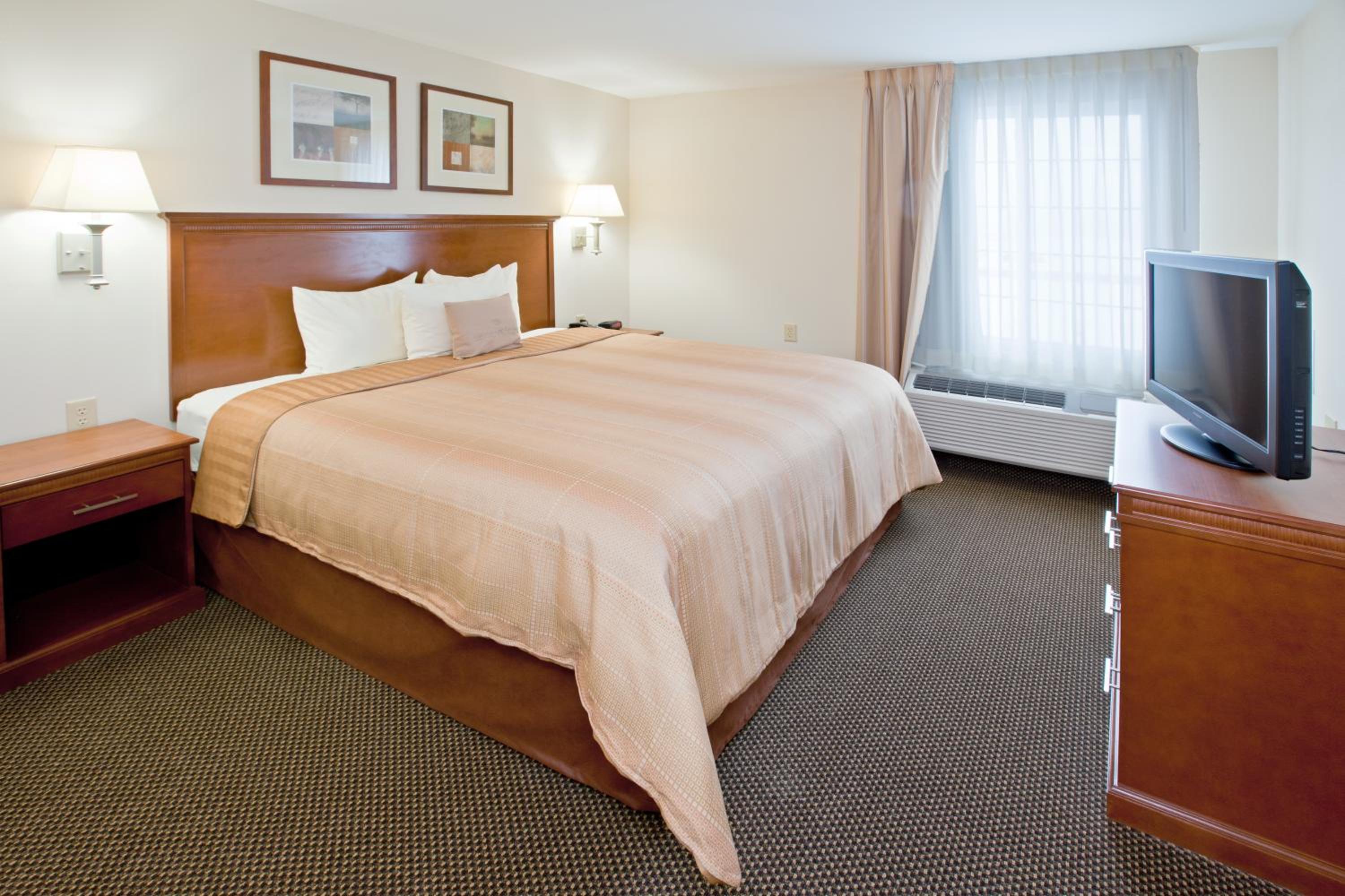 One-Bedroom King Suite - Photo 1
