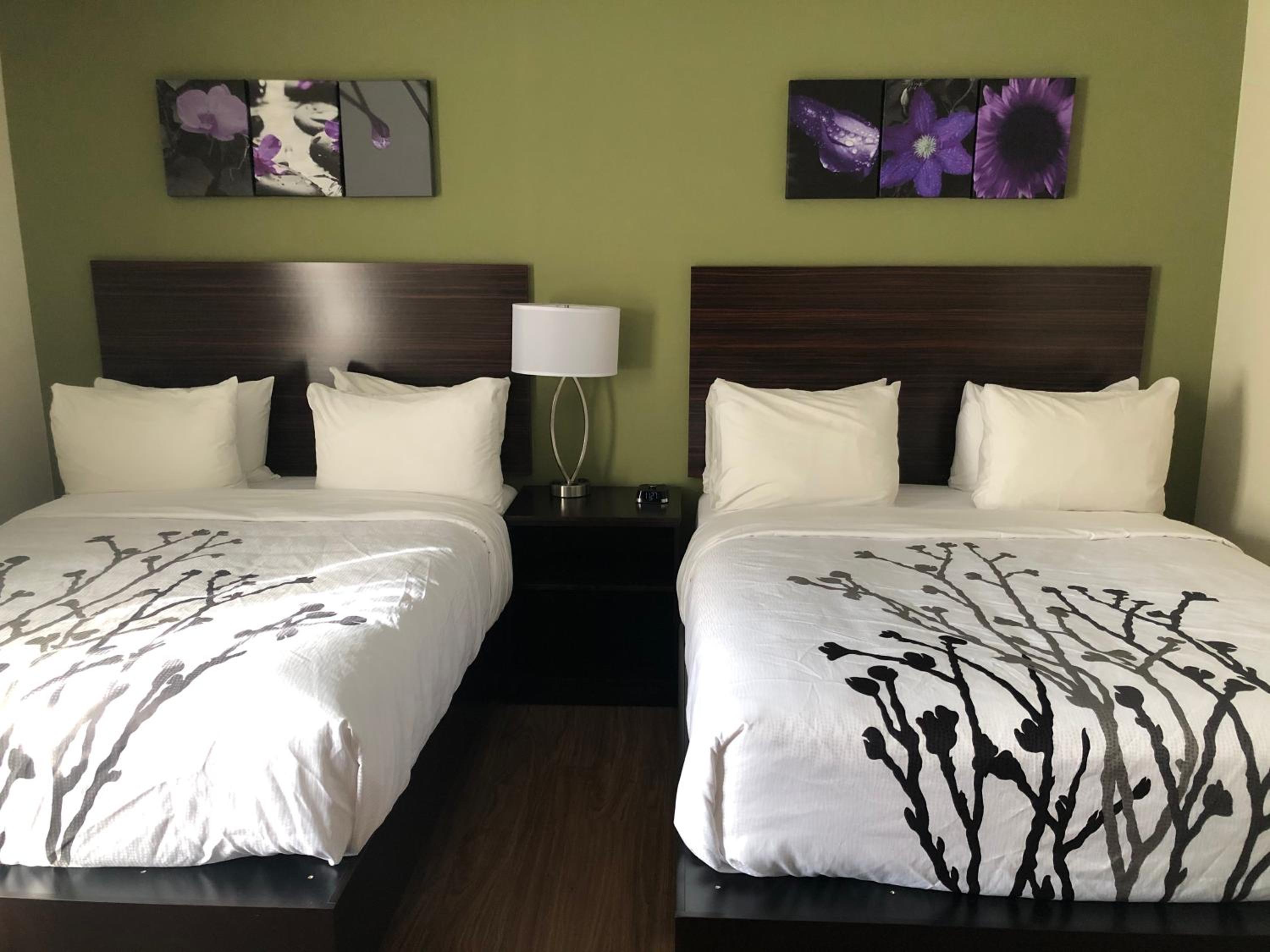 Queen Room with Two Queen Beds- Non-Smoking - Photo 2