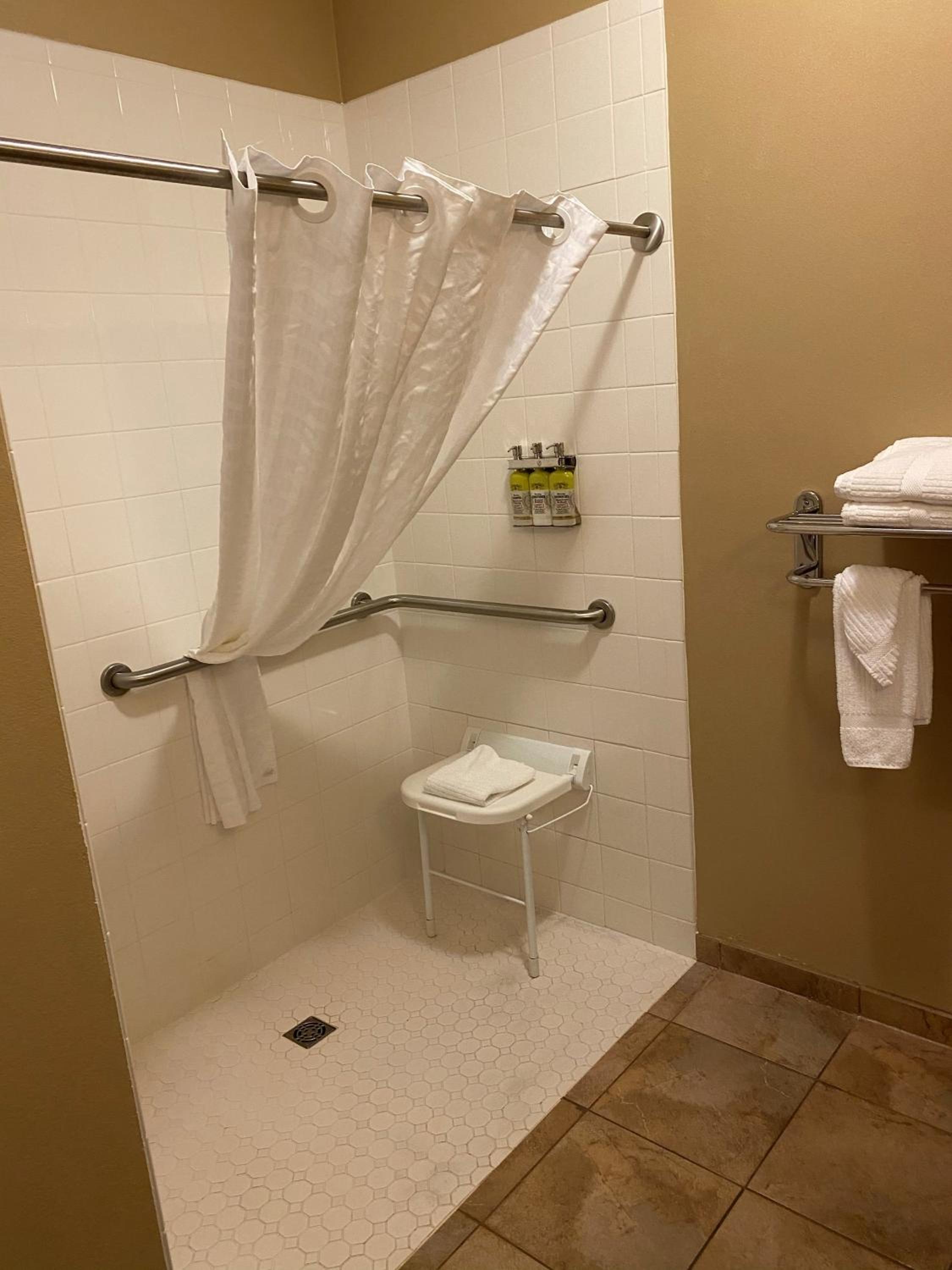 Queen Studio with Roll-In Shower - Non-Smoking
