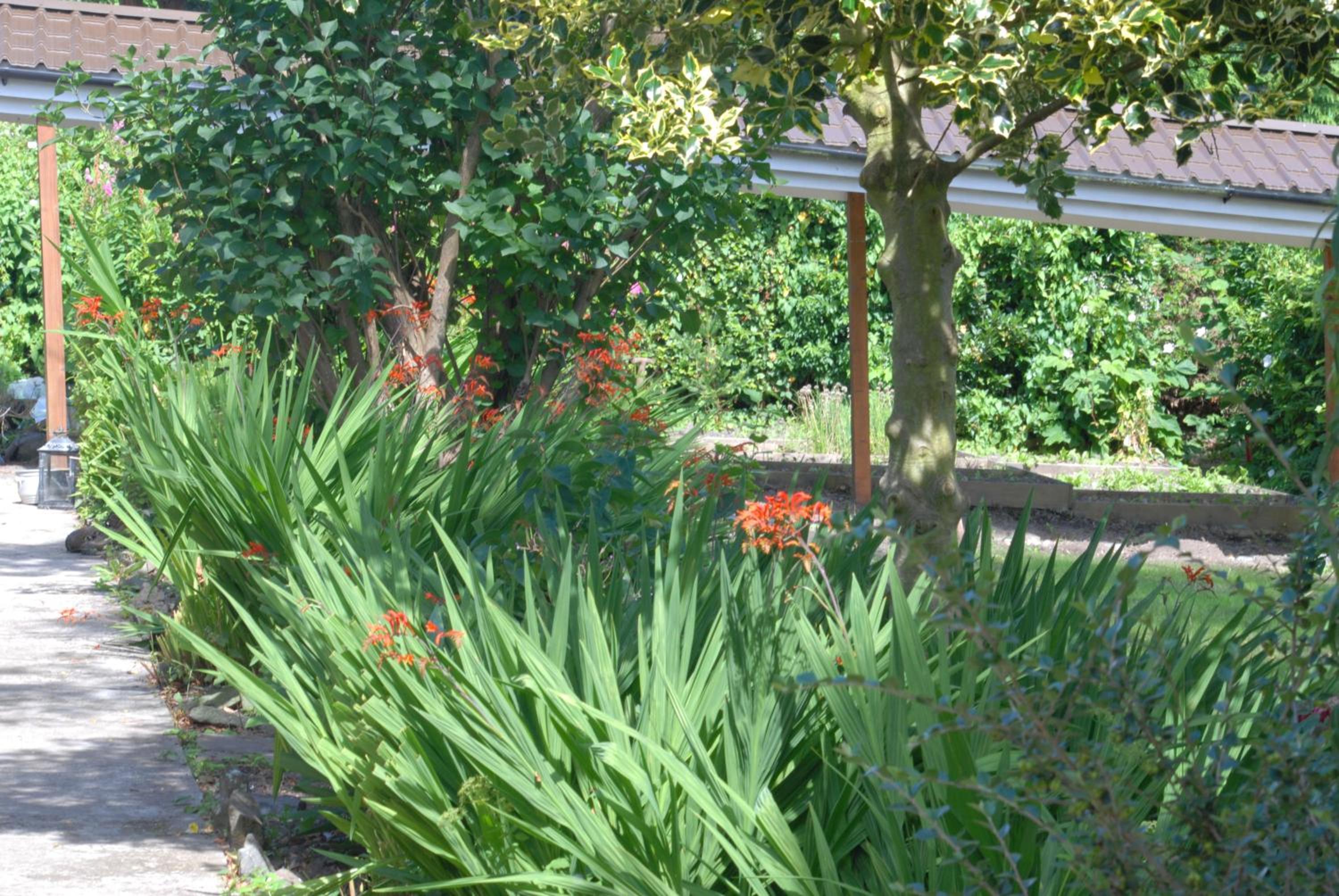 Apartment with Garden View - Photo 7