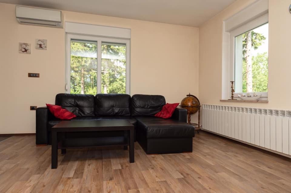 One-Bedroom Apartment - Photo 6