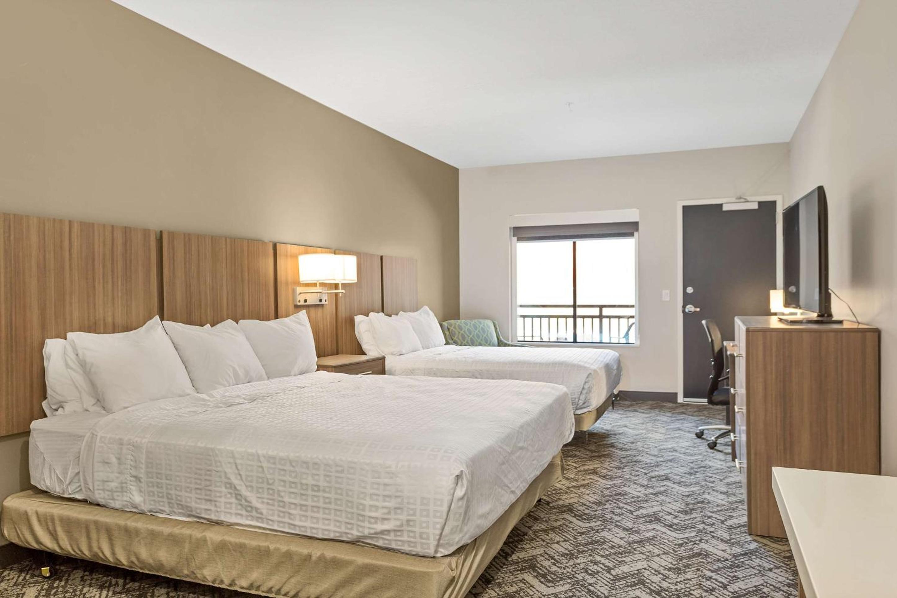 Quadruple Room - Disability Access