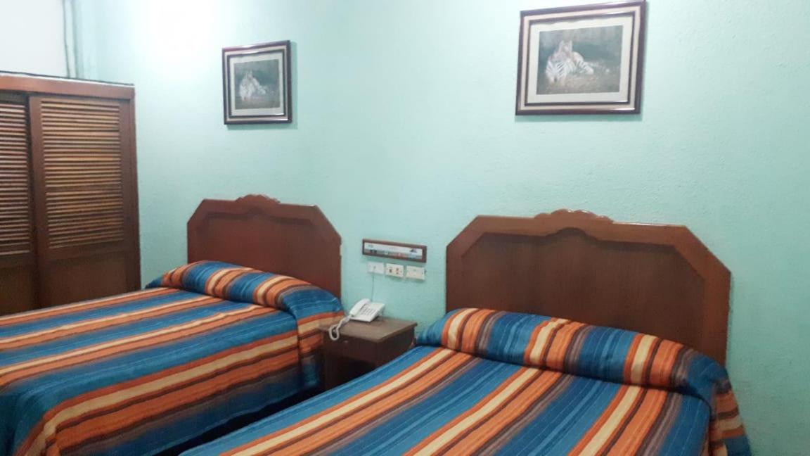 Superior Twin Room photo 1