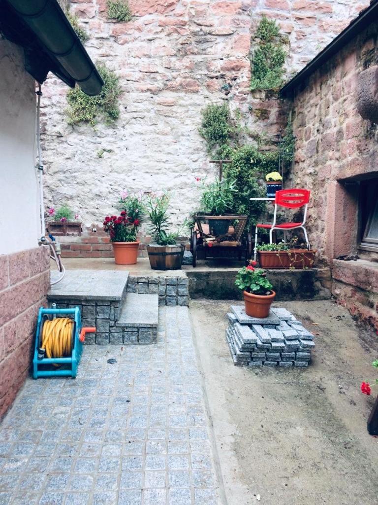 Apartment - Photo 42