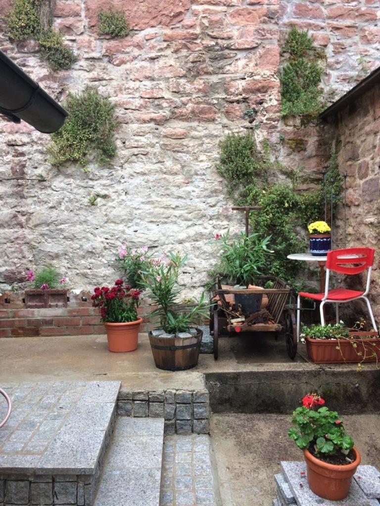 Apartment - Photo 36
