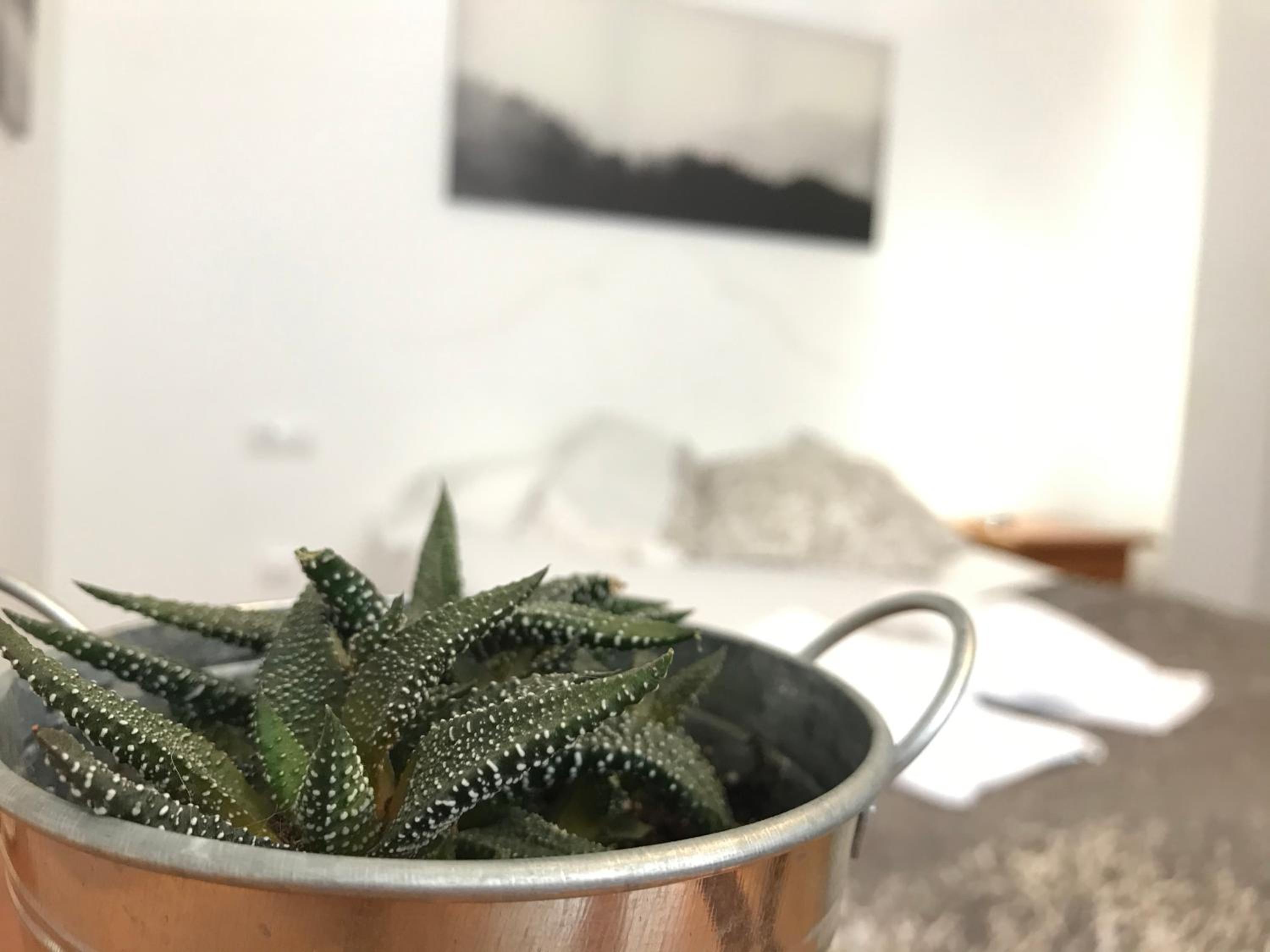 Apartamento de 1 habitación (BA)