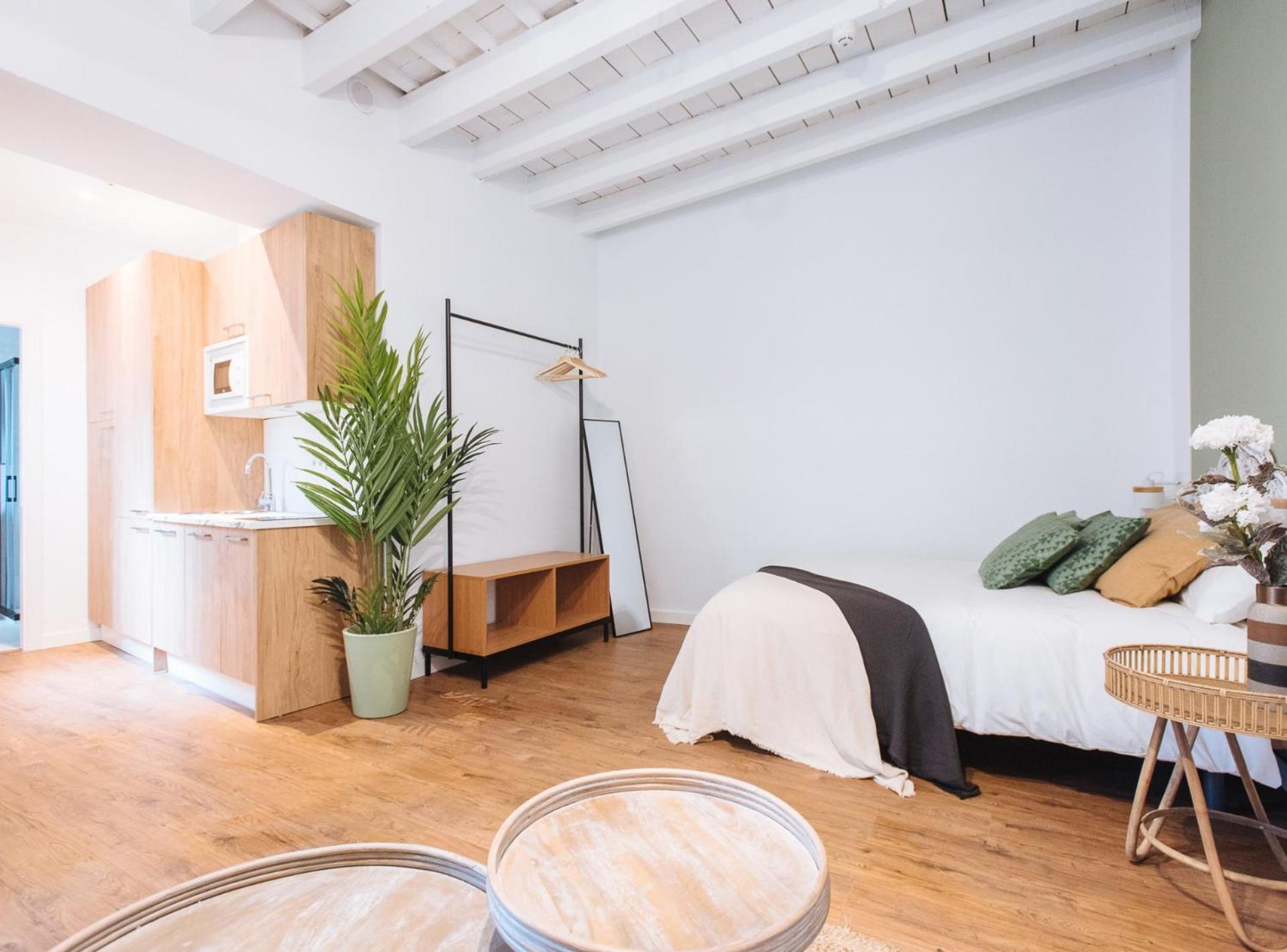 Studio Apartment - Photo 3