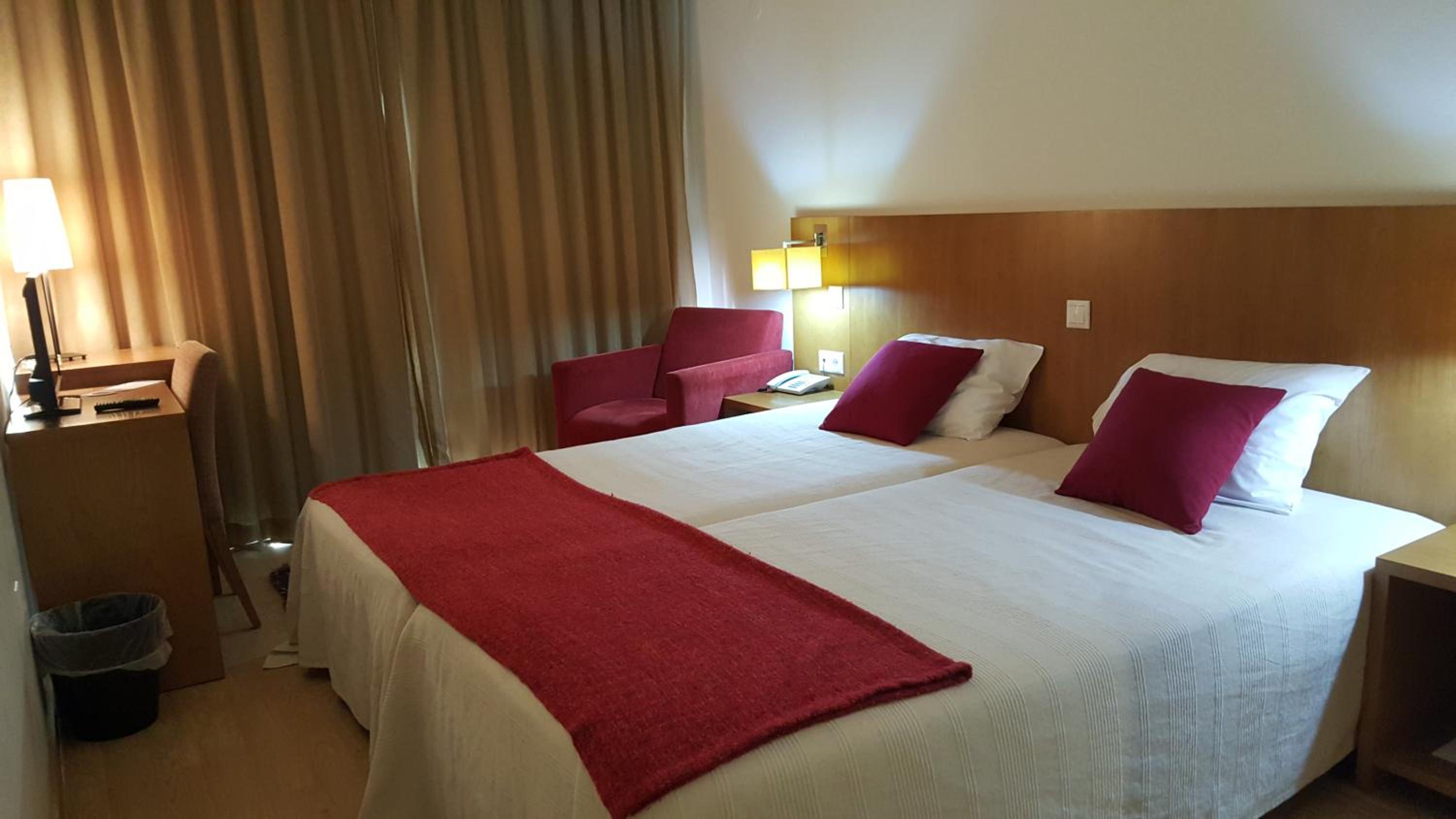 Single Room photo 1