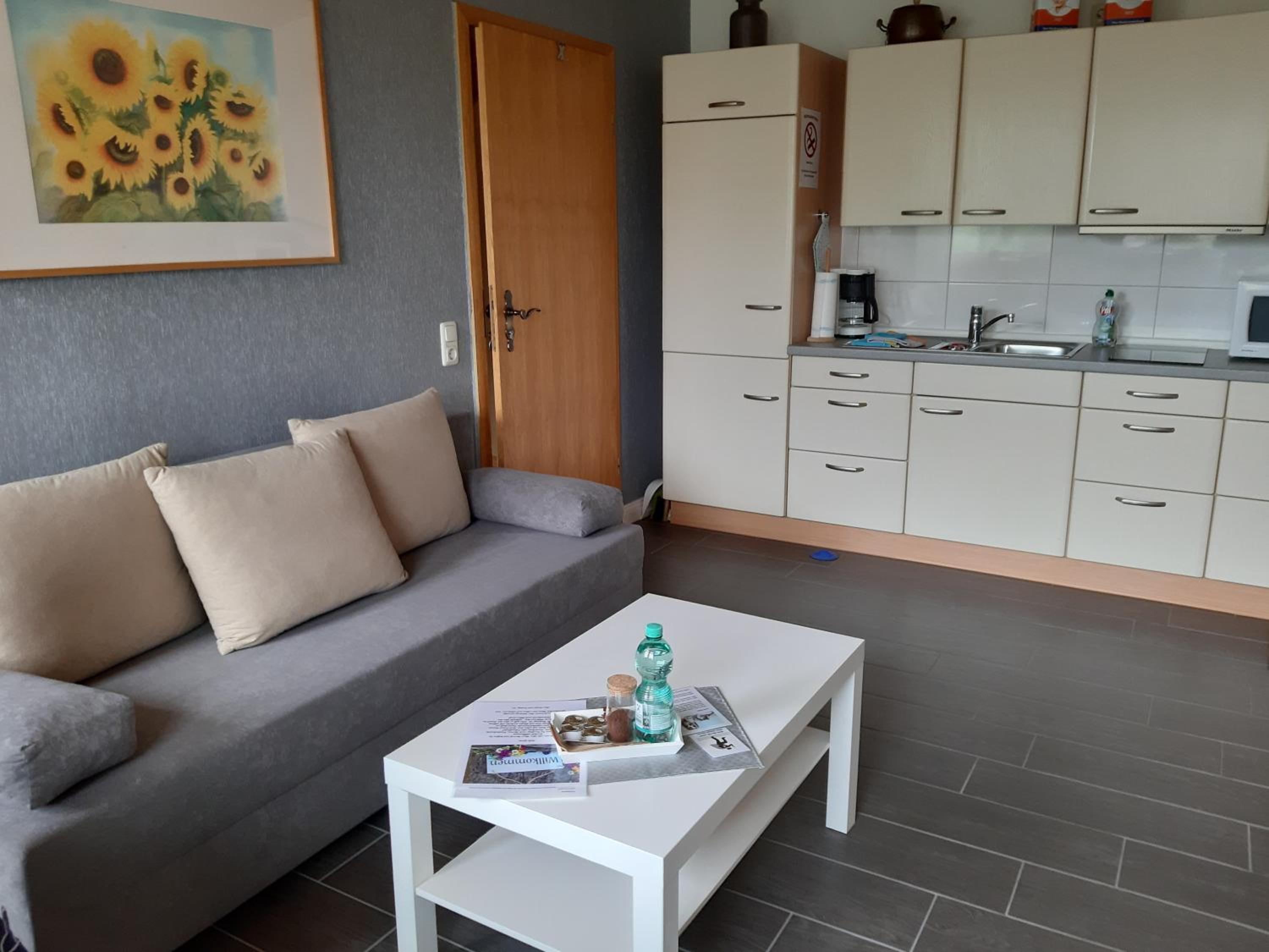 One-Bedroom Apartment - Photo 8