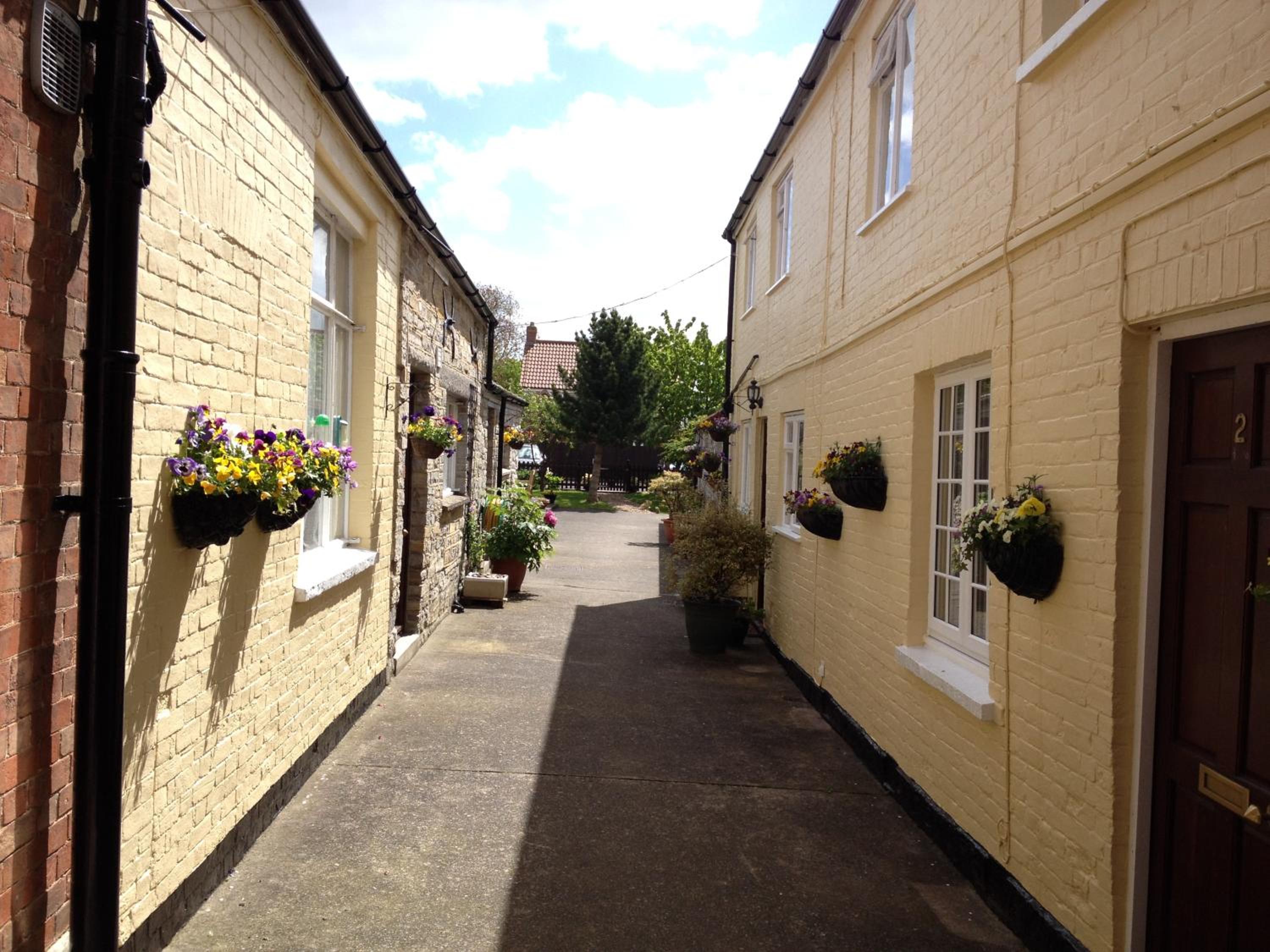 Studio Cottage photo 2