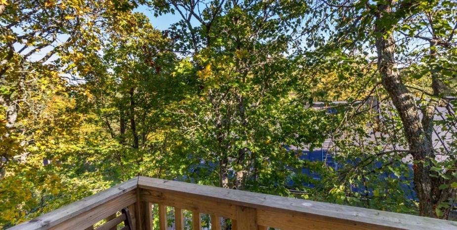 Family Room with Balcony - Photo 3