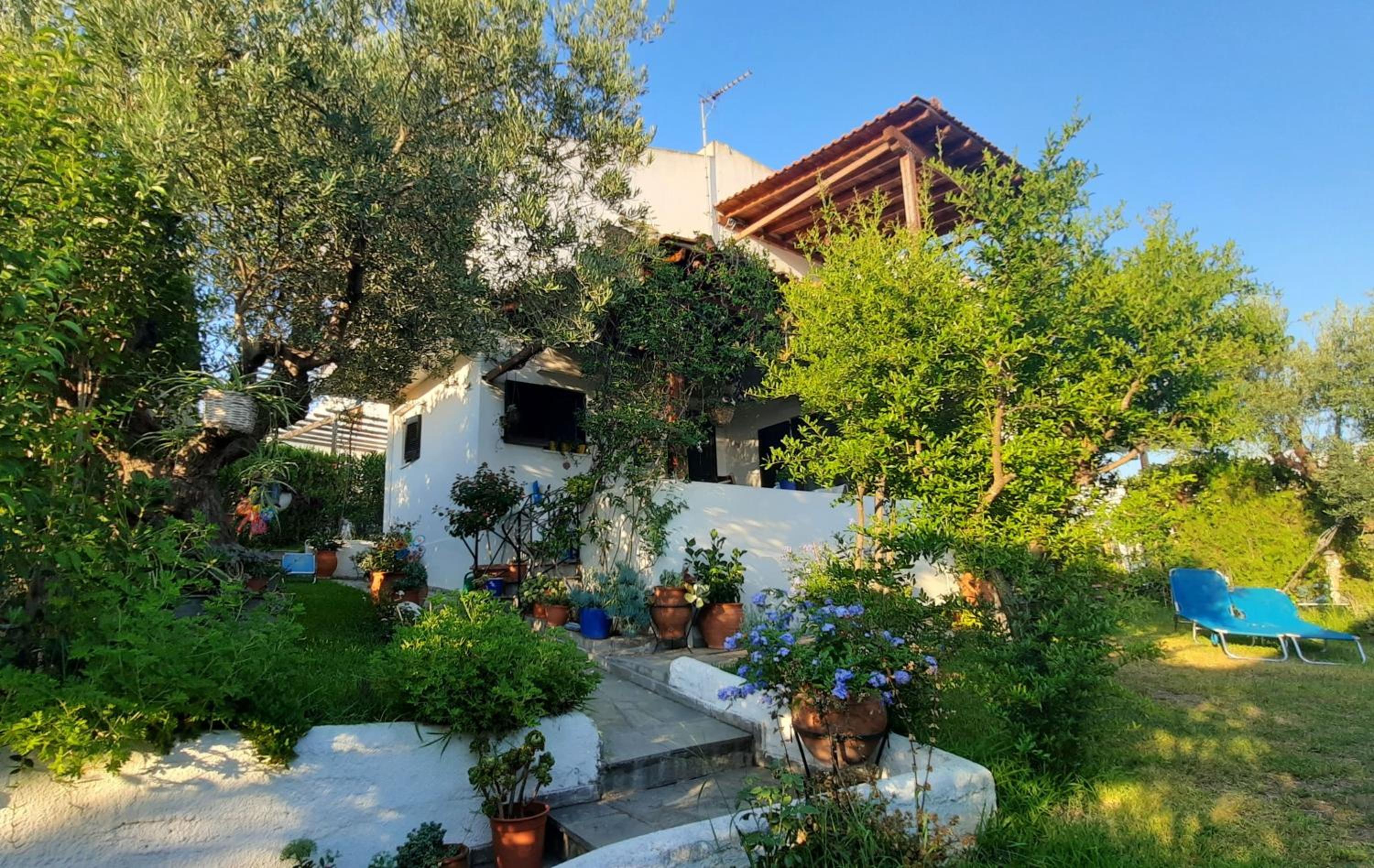 Deluxe Villa photo 3