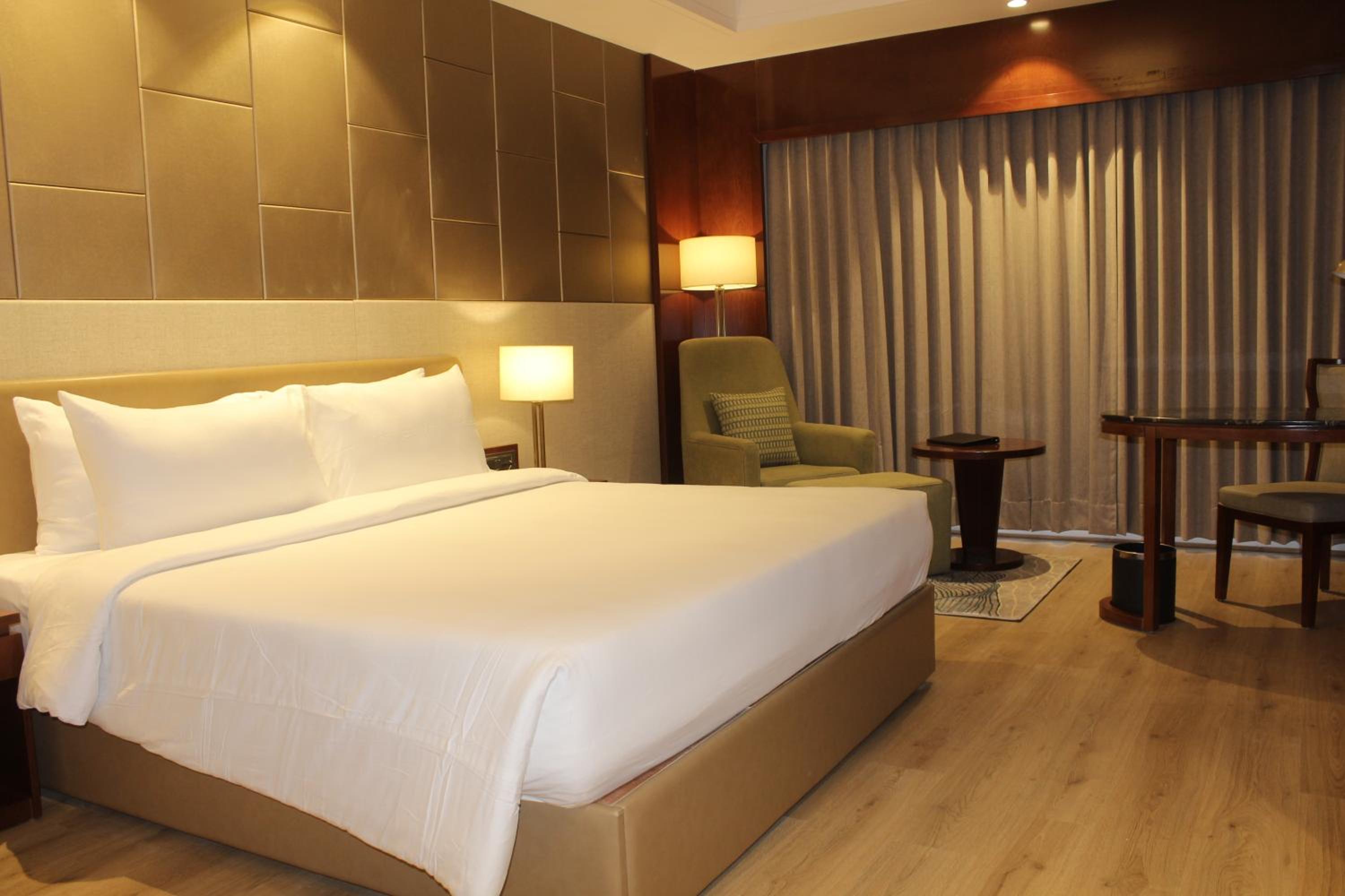 Executive King Room - Photo 6