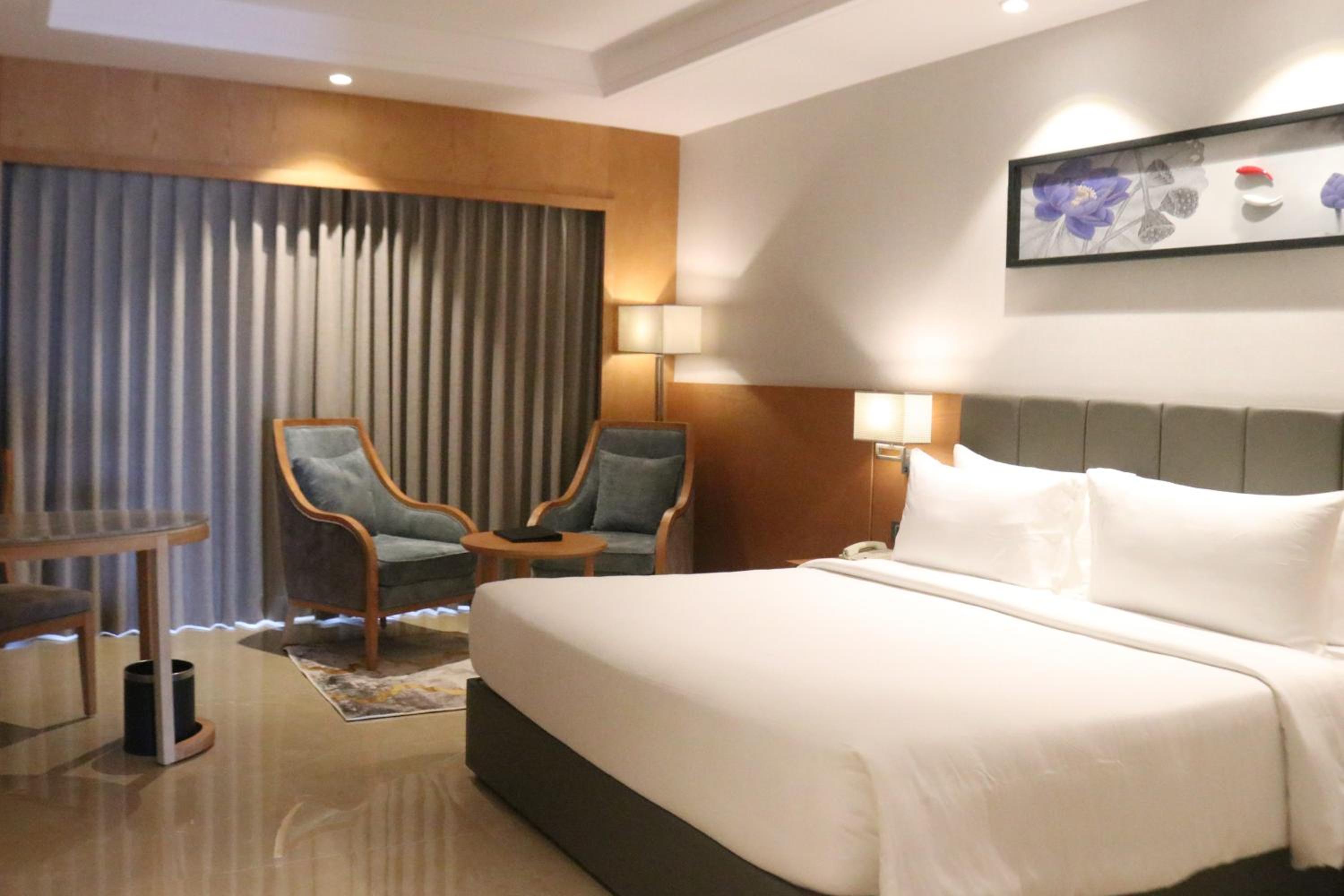 Deluxe King Room - Photo 9