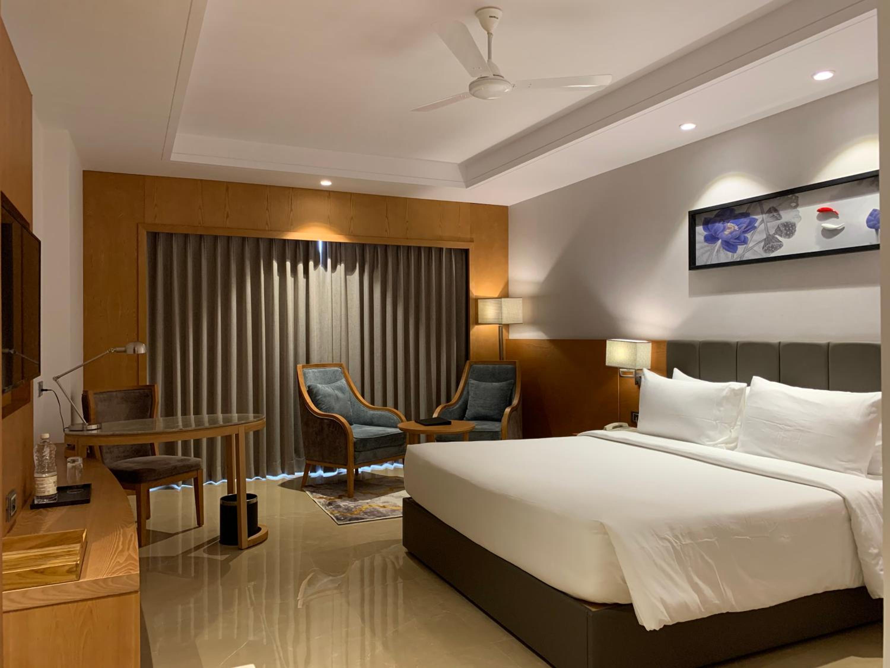 Deluxe King Room - Photo 6