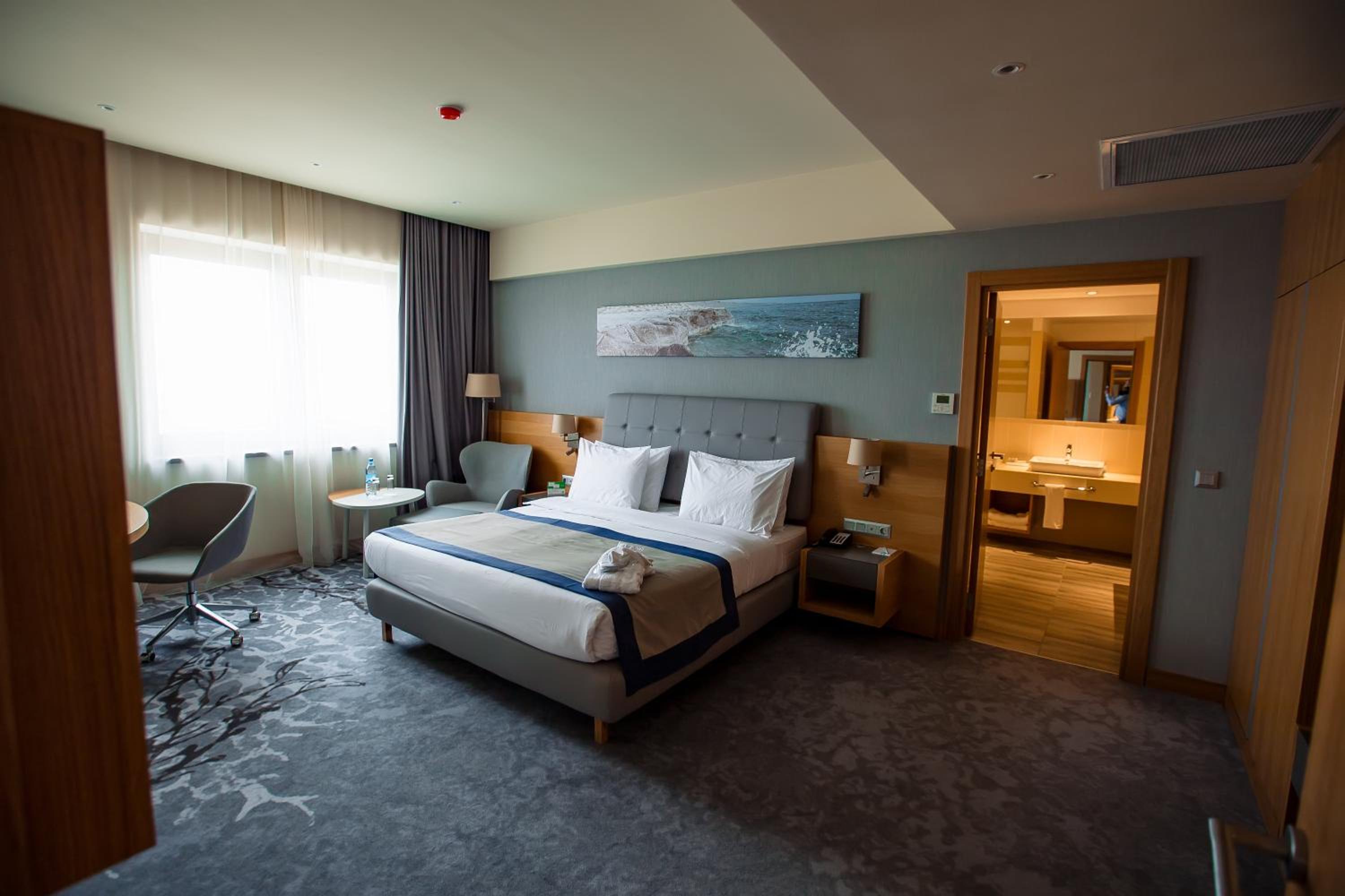 One-Bedroom King Suite - Photo 16