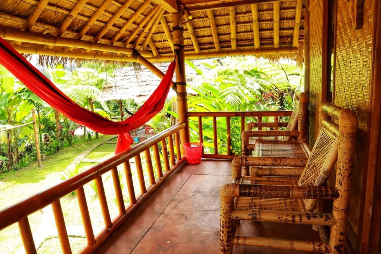 Double Room with Garden View photo 2