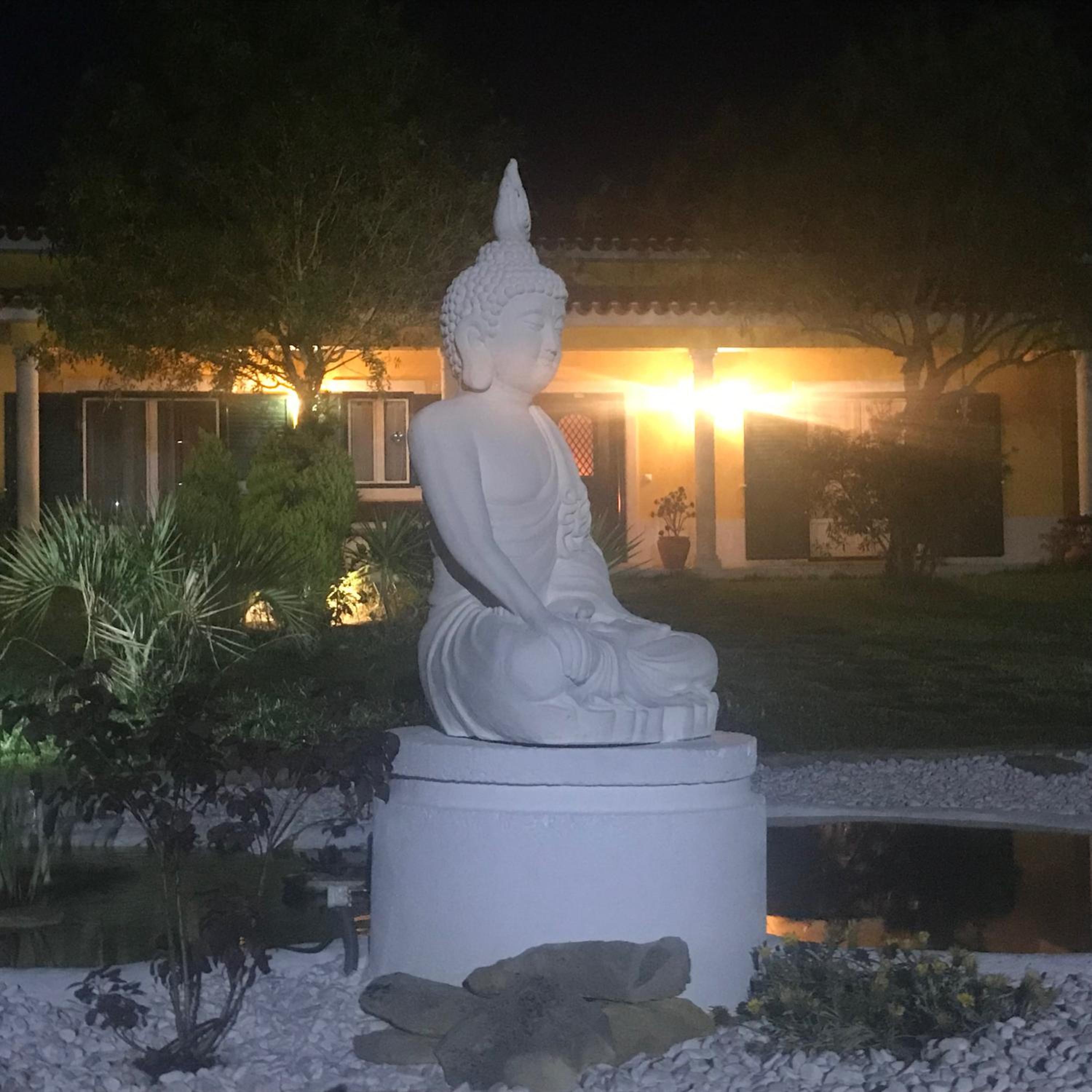 Superior Villa photo 3