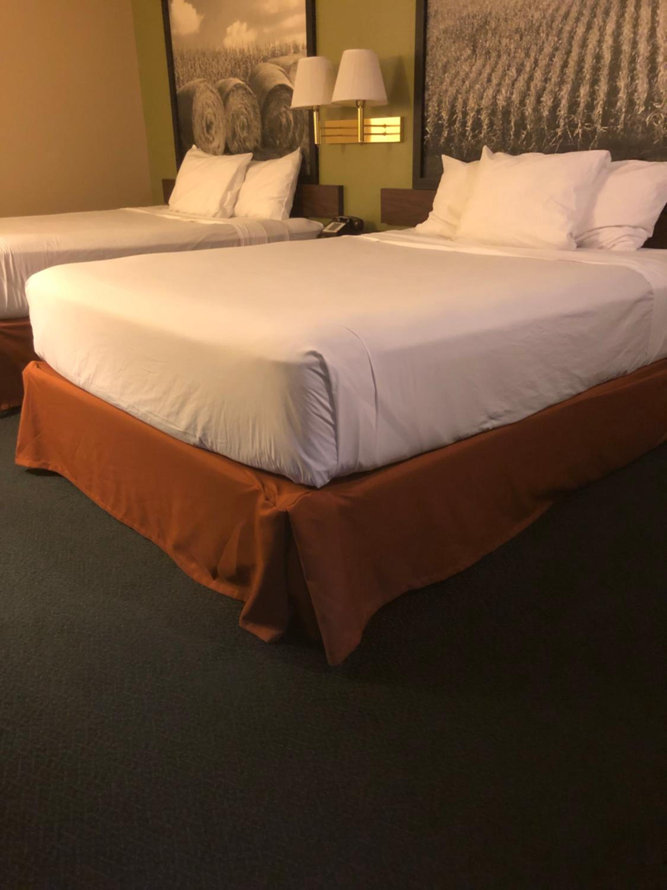 Standard Queen Room with Two Queen Beds - Photo 1