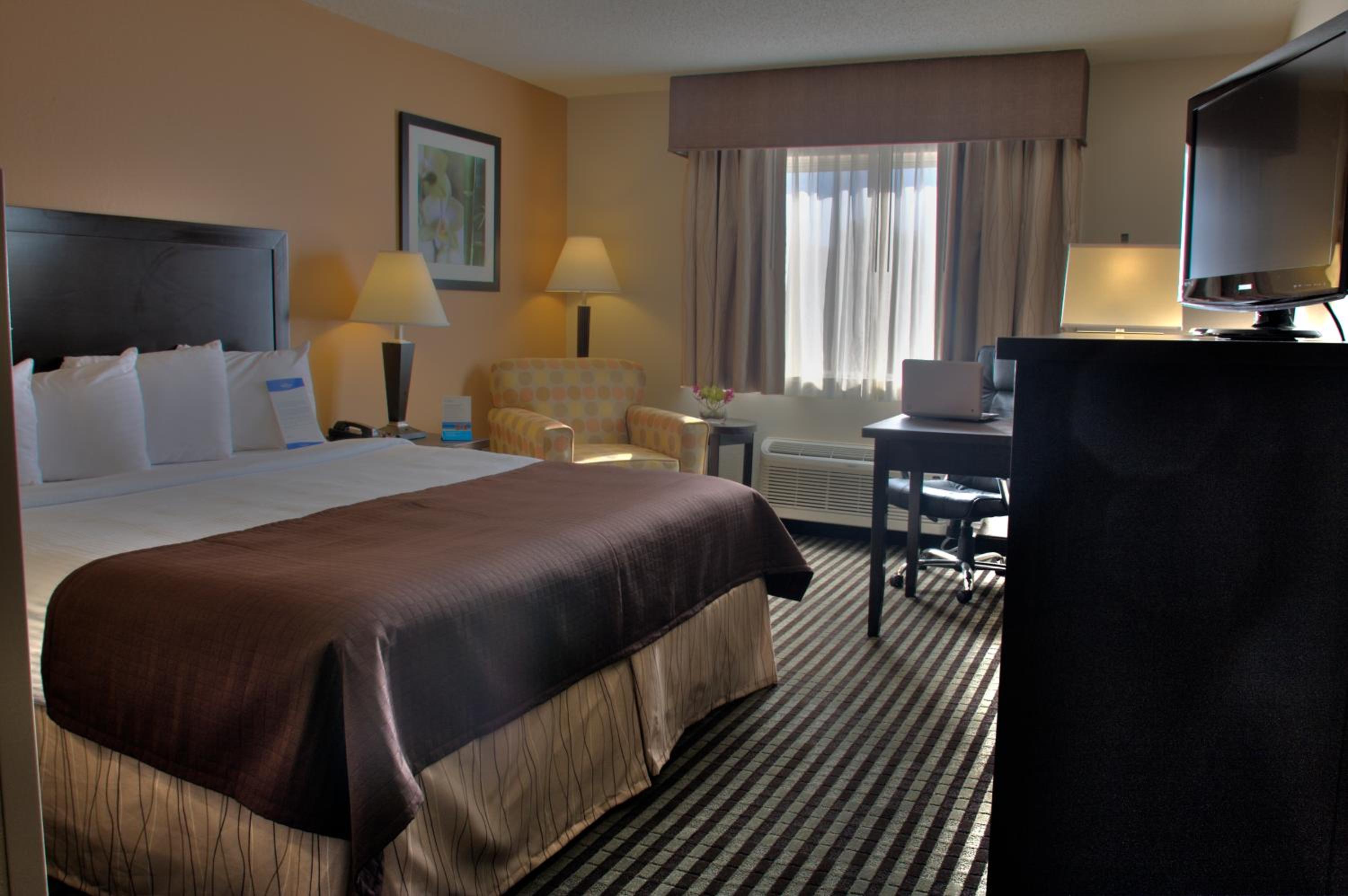 Studio Suite with a King Bed, Non-Smoking - Photo 3