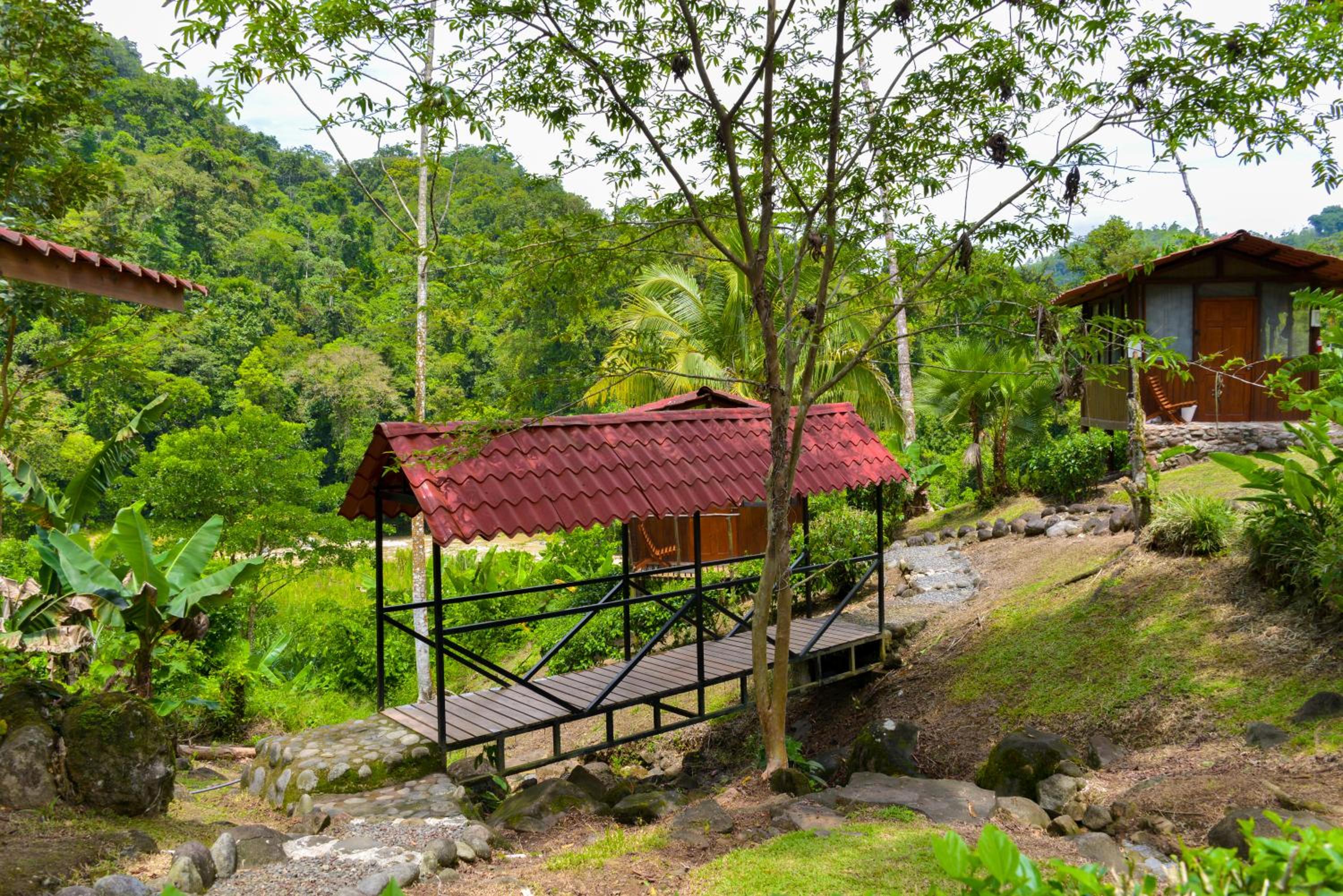 Superior Bungalow photo 3