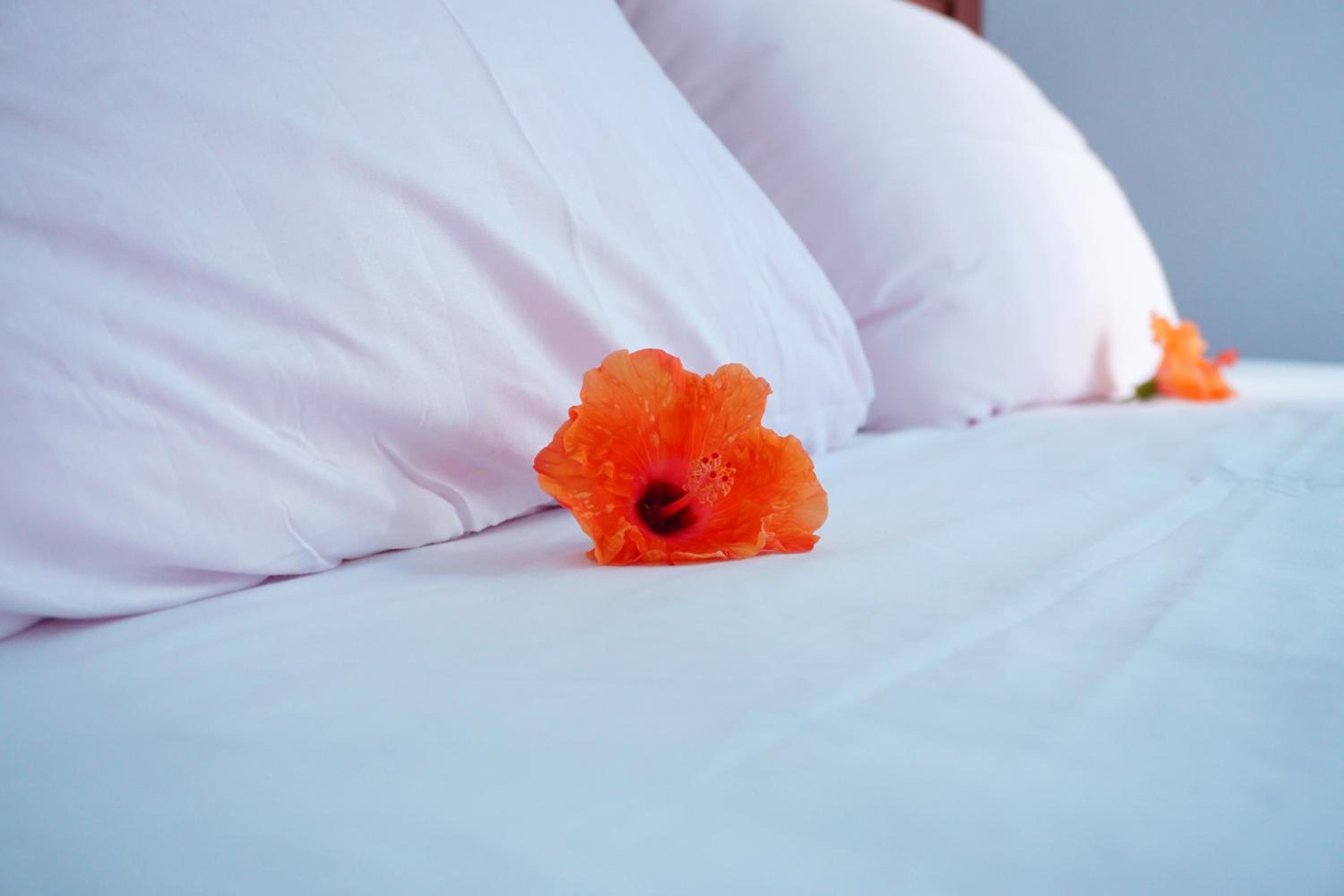 Day User Offer (2 hours) - Extra charge for overnight photo 3