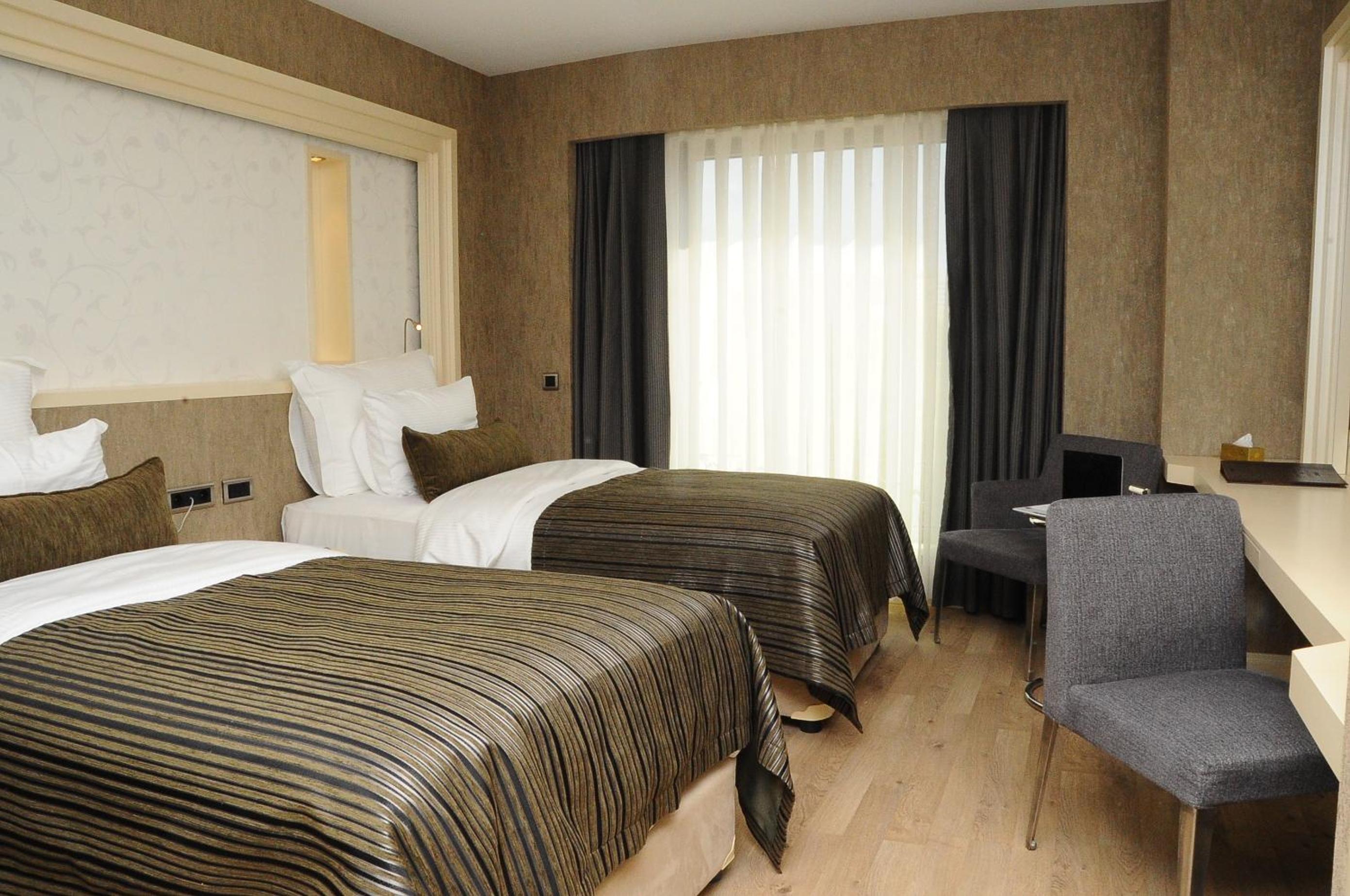 Deluxe Twin Room photo 2