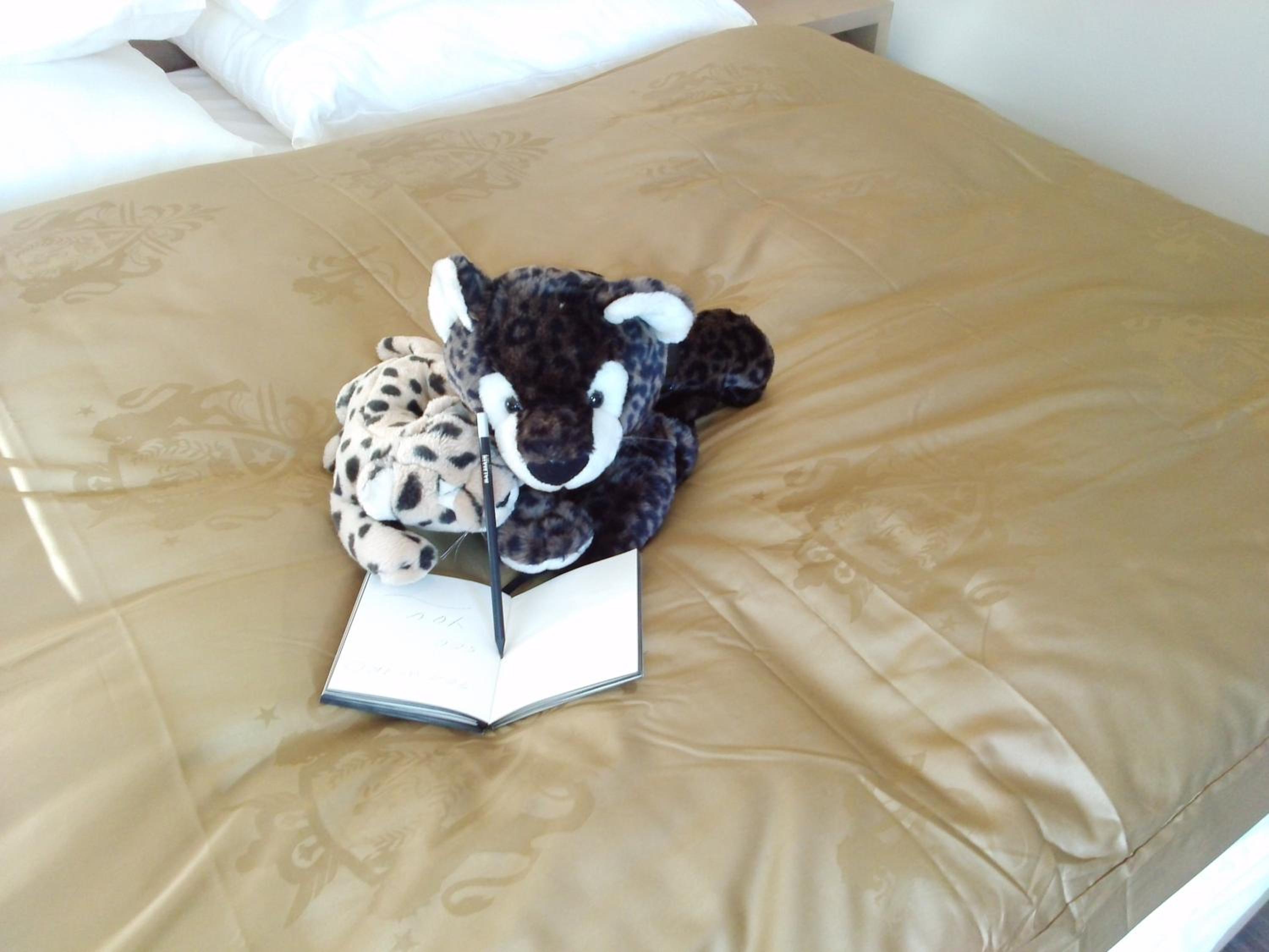 Junior Suite (2 Adults + 1 Child) photo 2