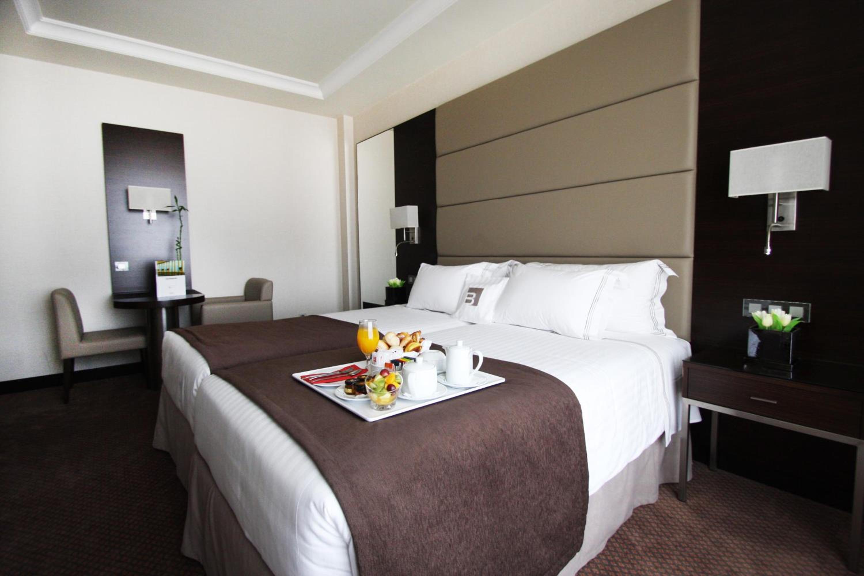 Executive Double or Twin Room - Photo 5