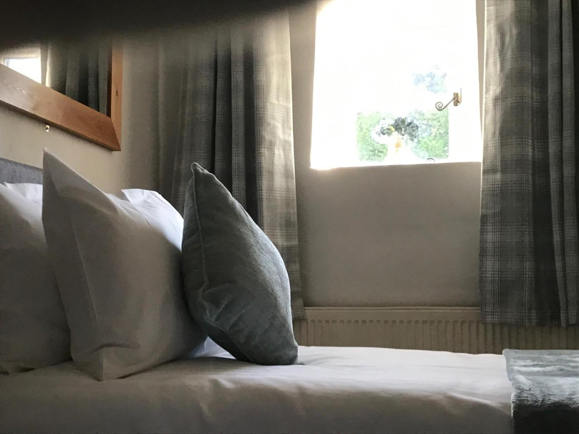 Superior Single Room photo 2