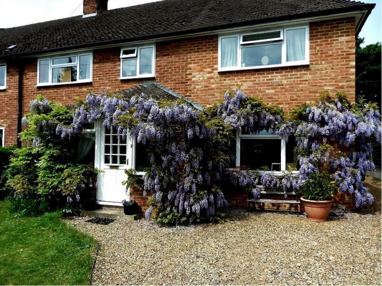 Standard Twin Room with Garden View photo 1