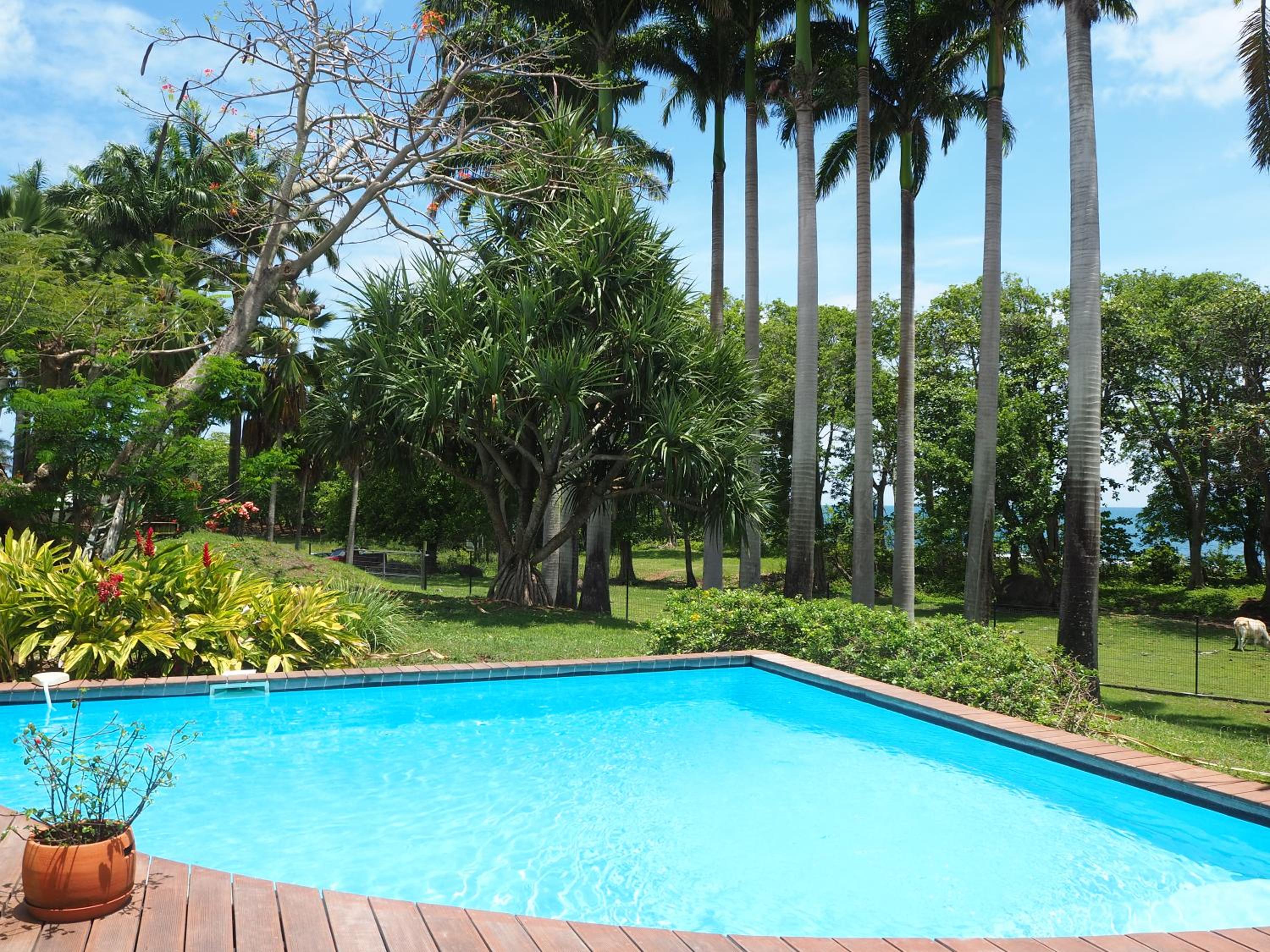 Villa with Sea View photo 2