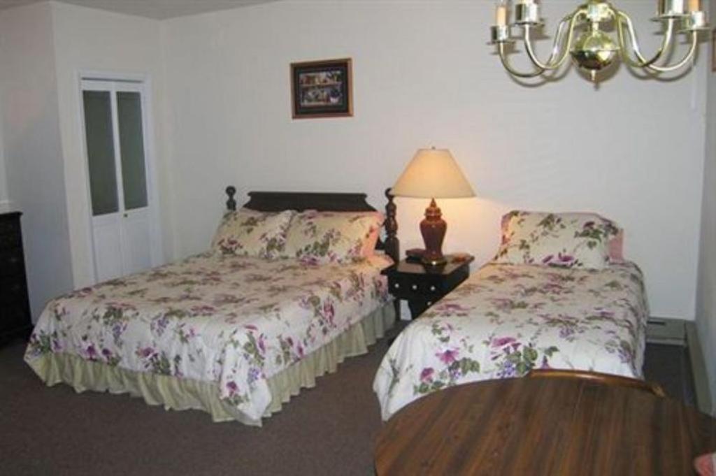 Standard Twin Room - Photo 1