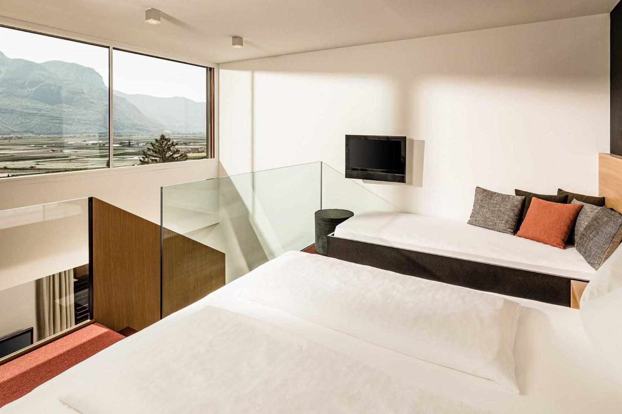 Suite - Photo 1