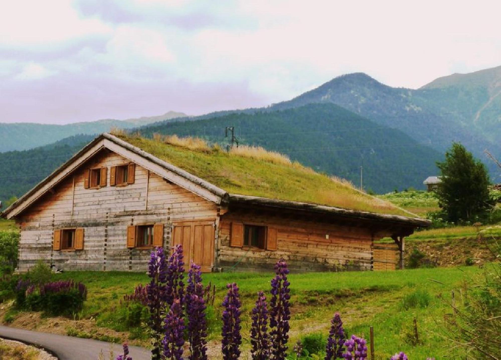 Chalet - Photo 21