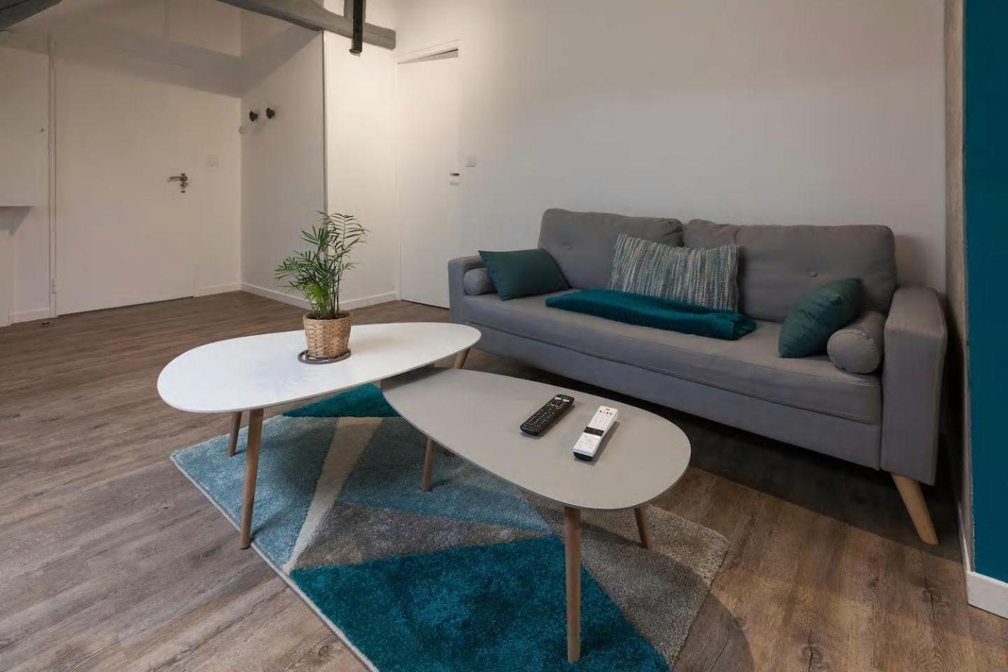 Superior Apartment photo 3