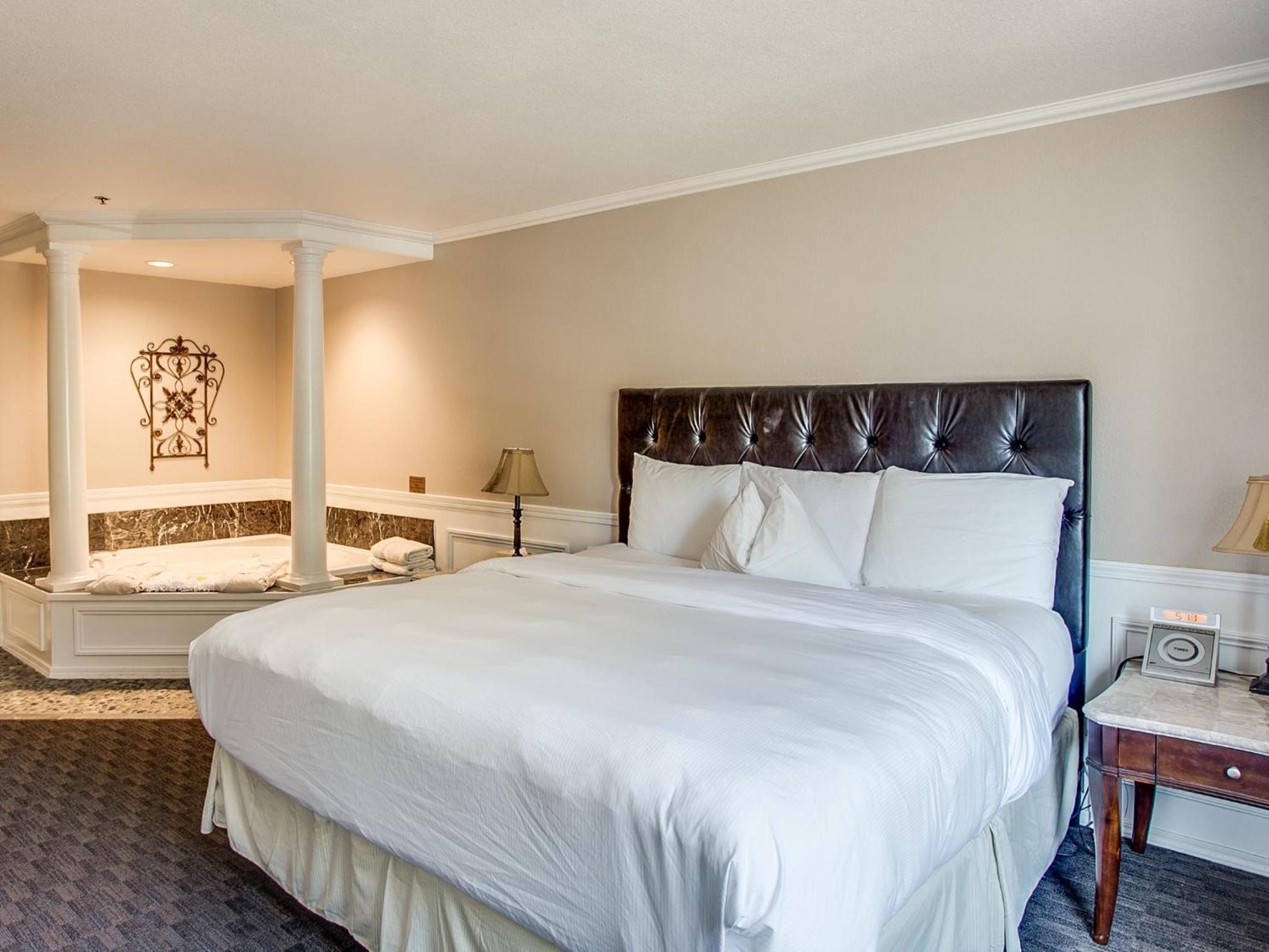 Deluxe Suite photo 1