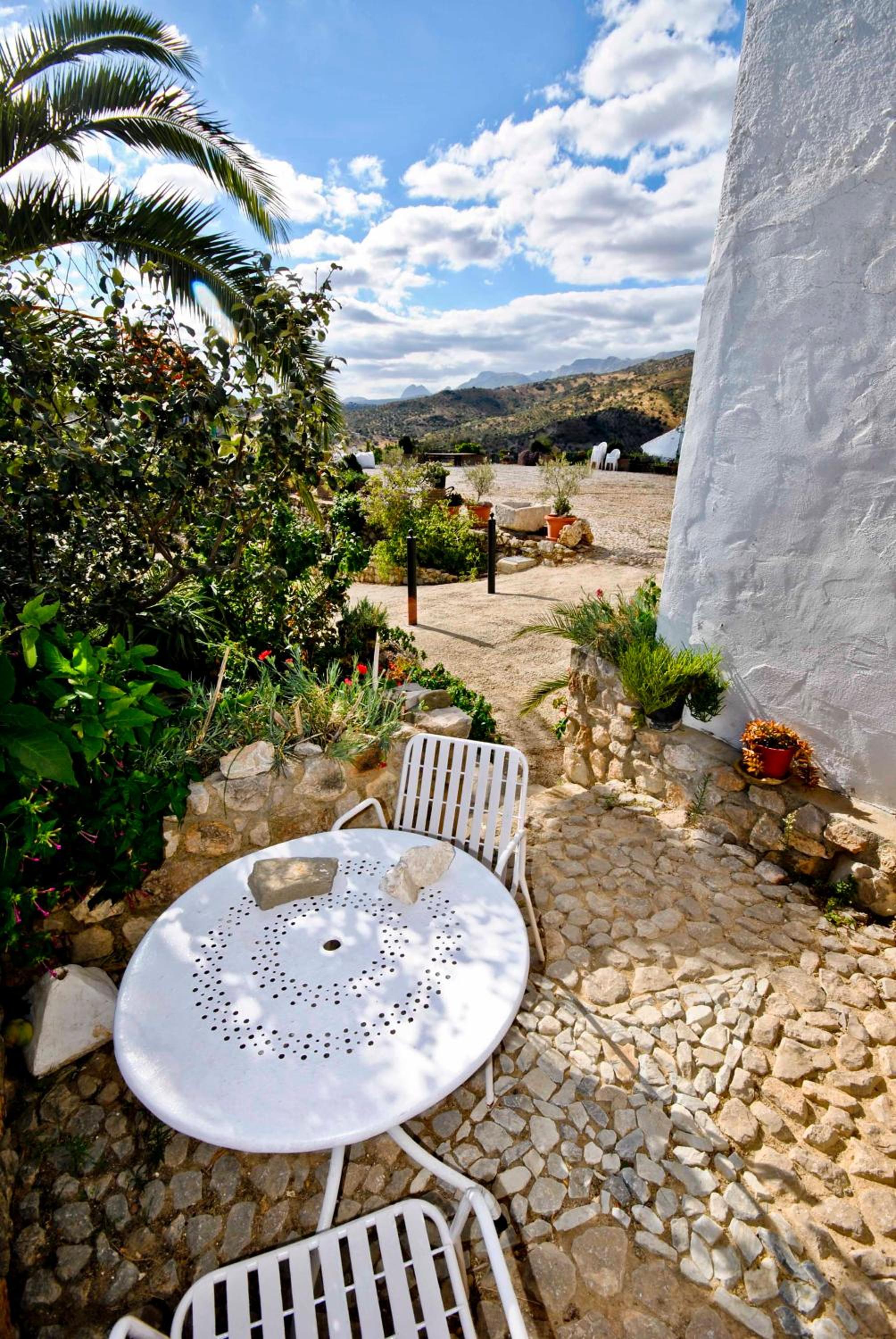 Studio with Terrace photo 2