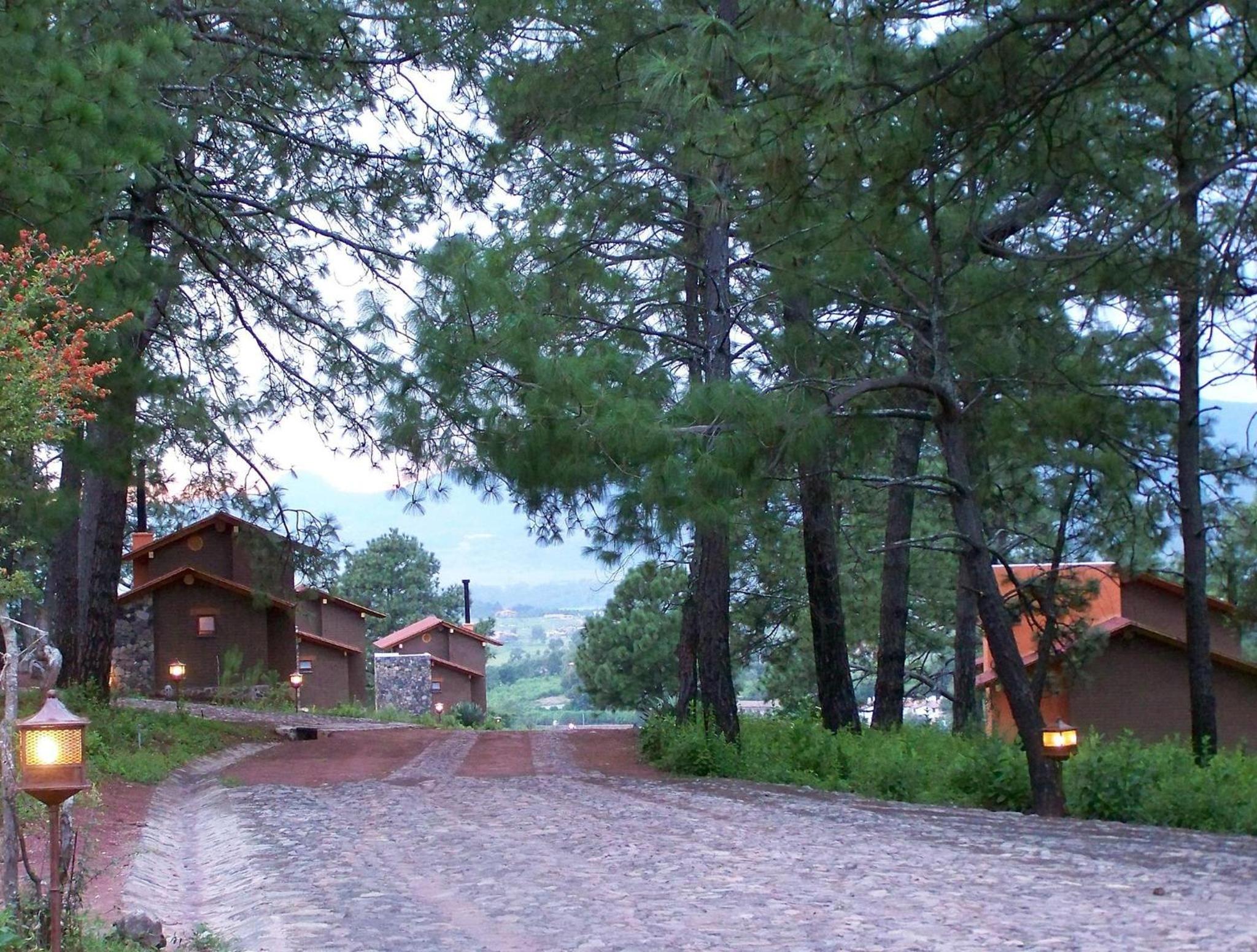 Suite Cabin  with Private Jacuzzi photo 3