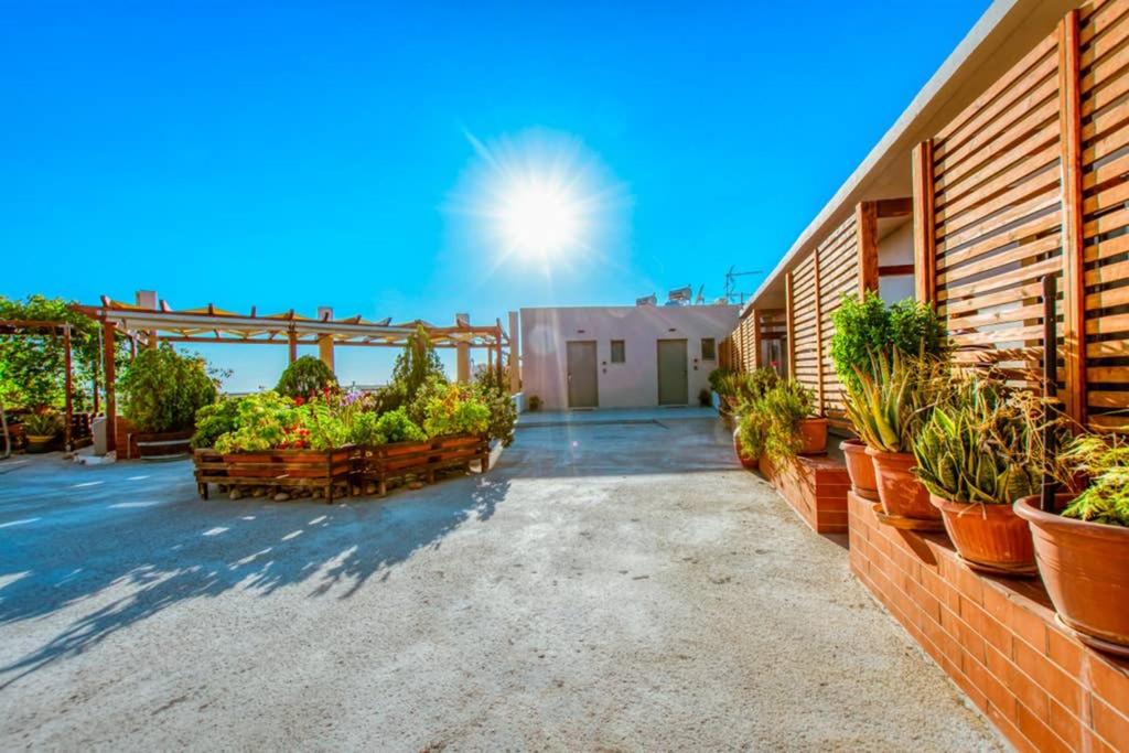 Studio Apartment with Sea View photo 2