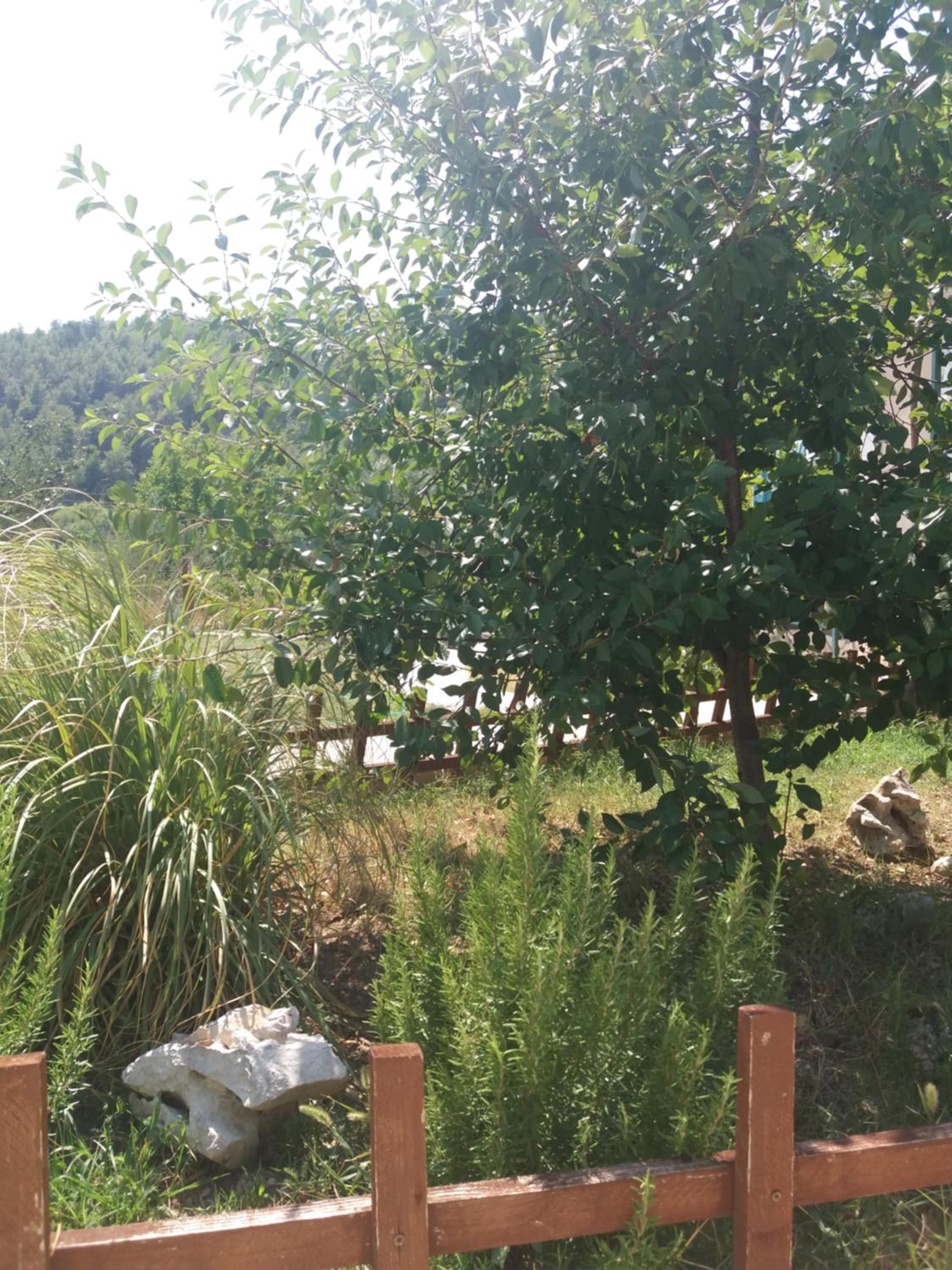 Studio with Garden View - Photo 40