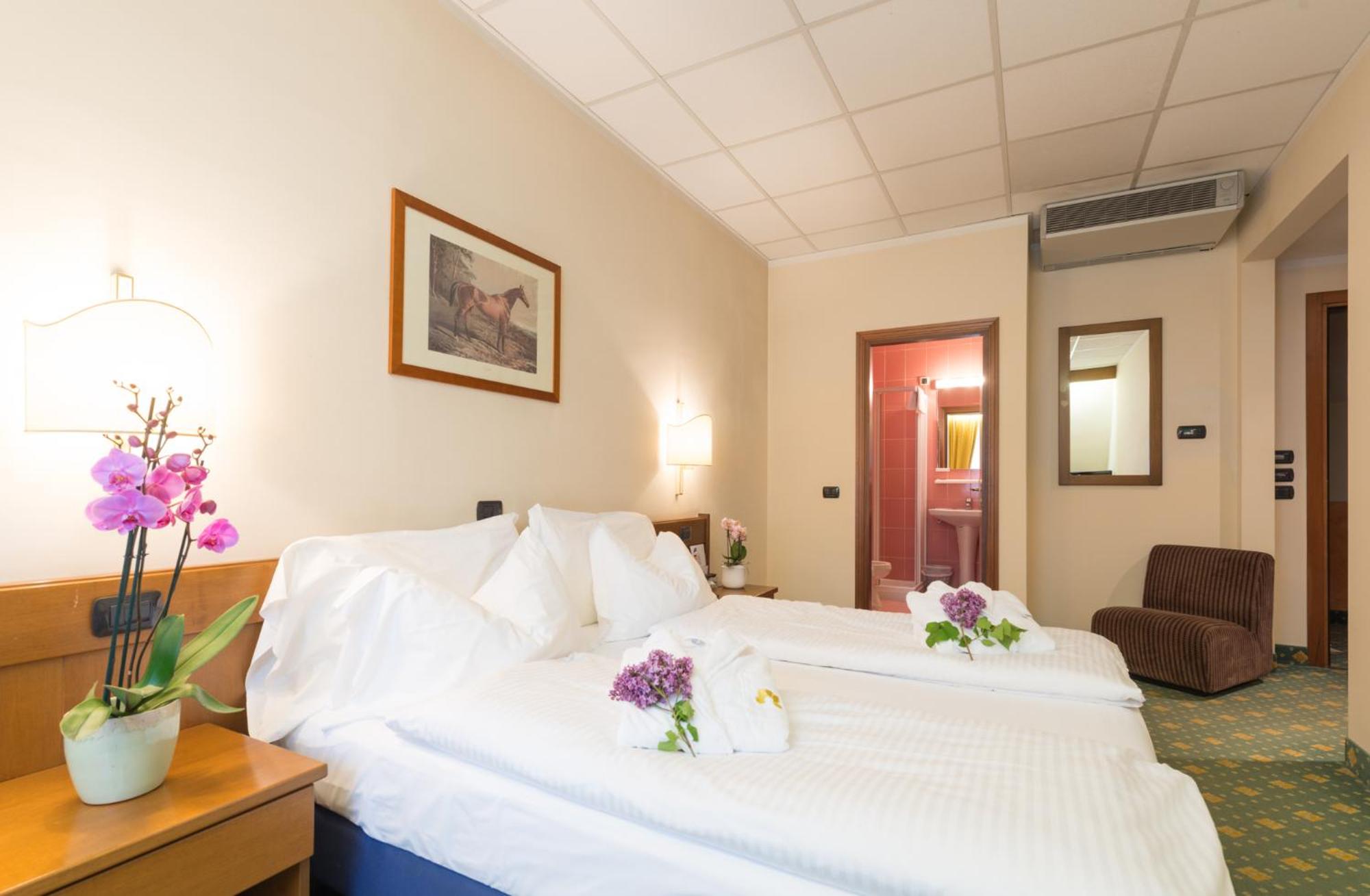 Standard Double or Twin Room