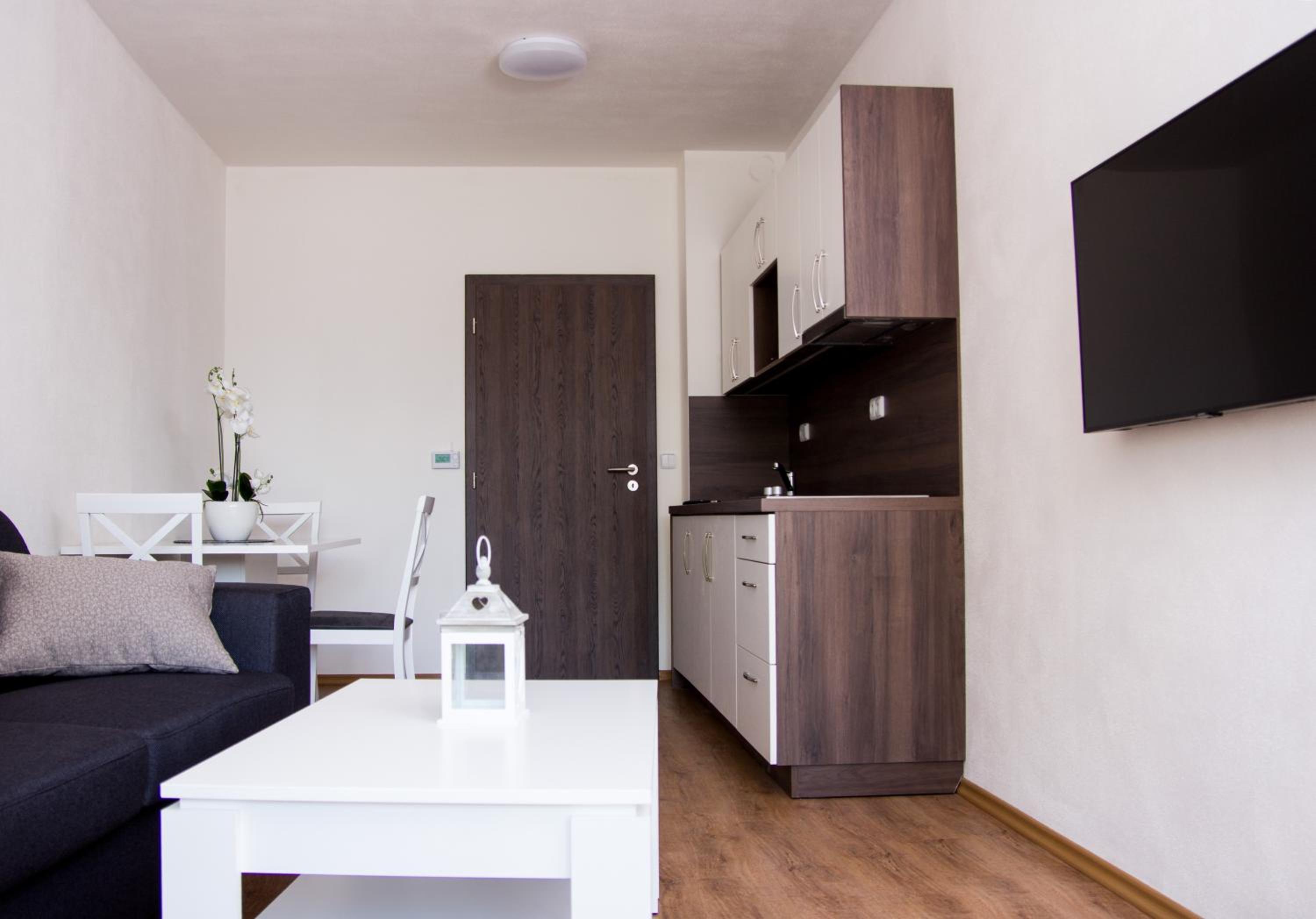 One-Bedroom Apartment photo 2