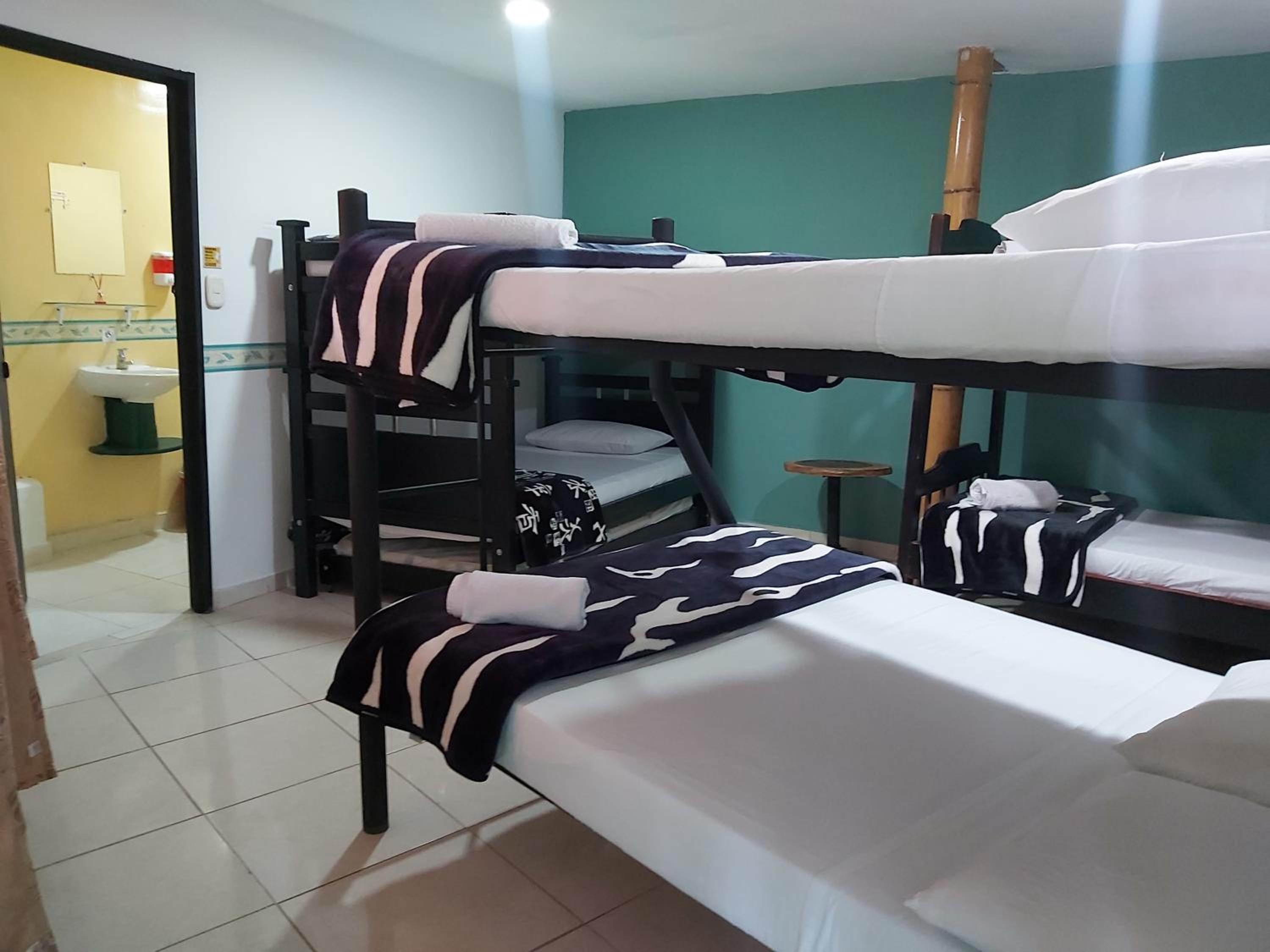 Bed in 8-Bed Mixed Dormitory Room with Shared Bathroom photo 3