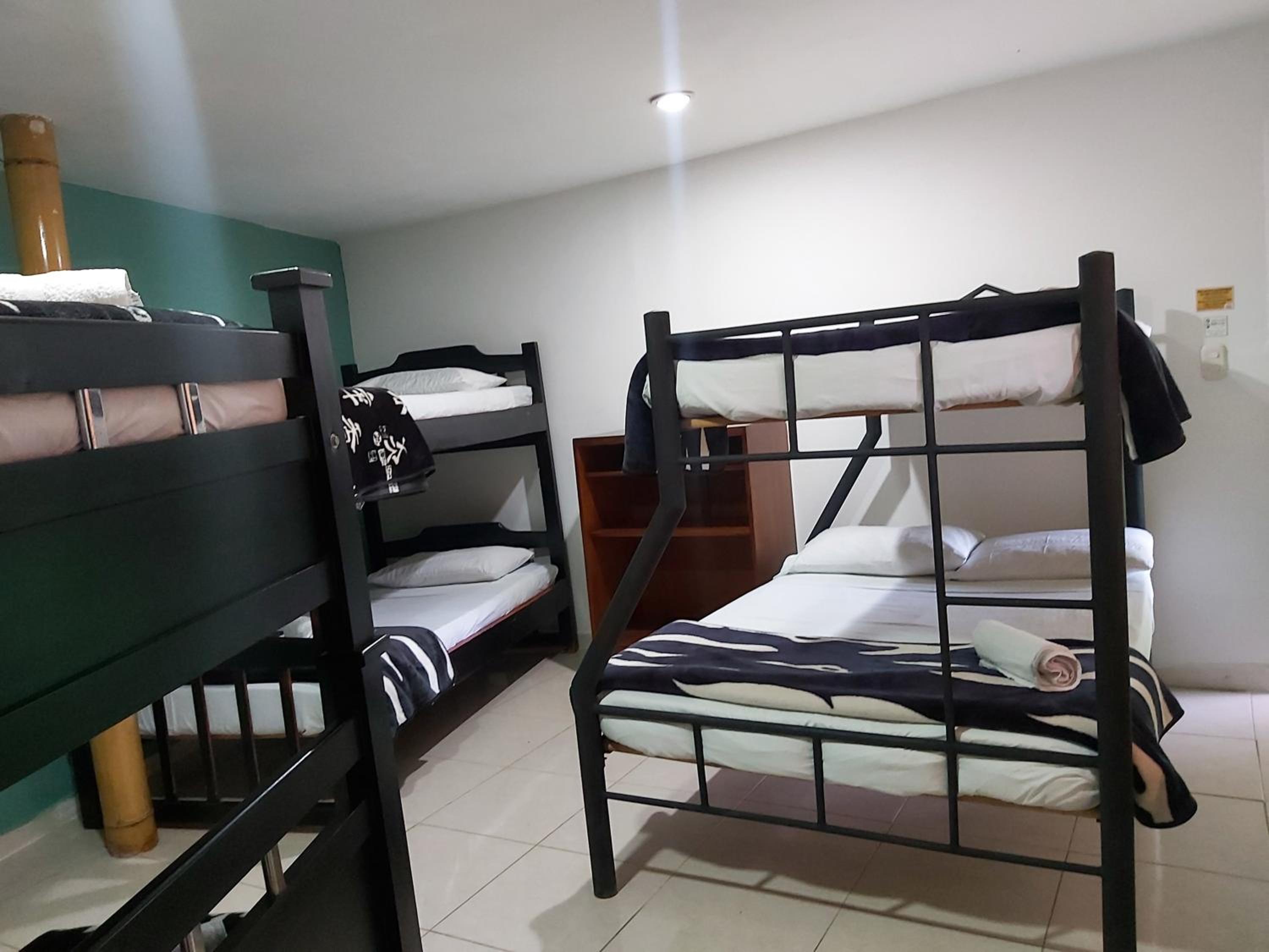 Bed in 8-Bed Mixed Dormitory Room with Shared Bathroom photo 1